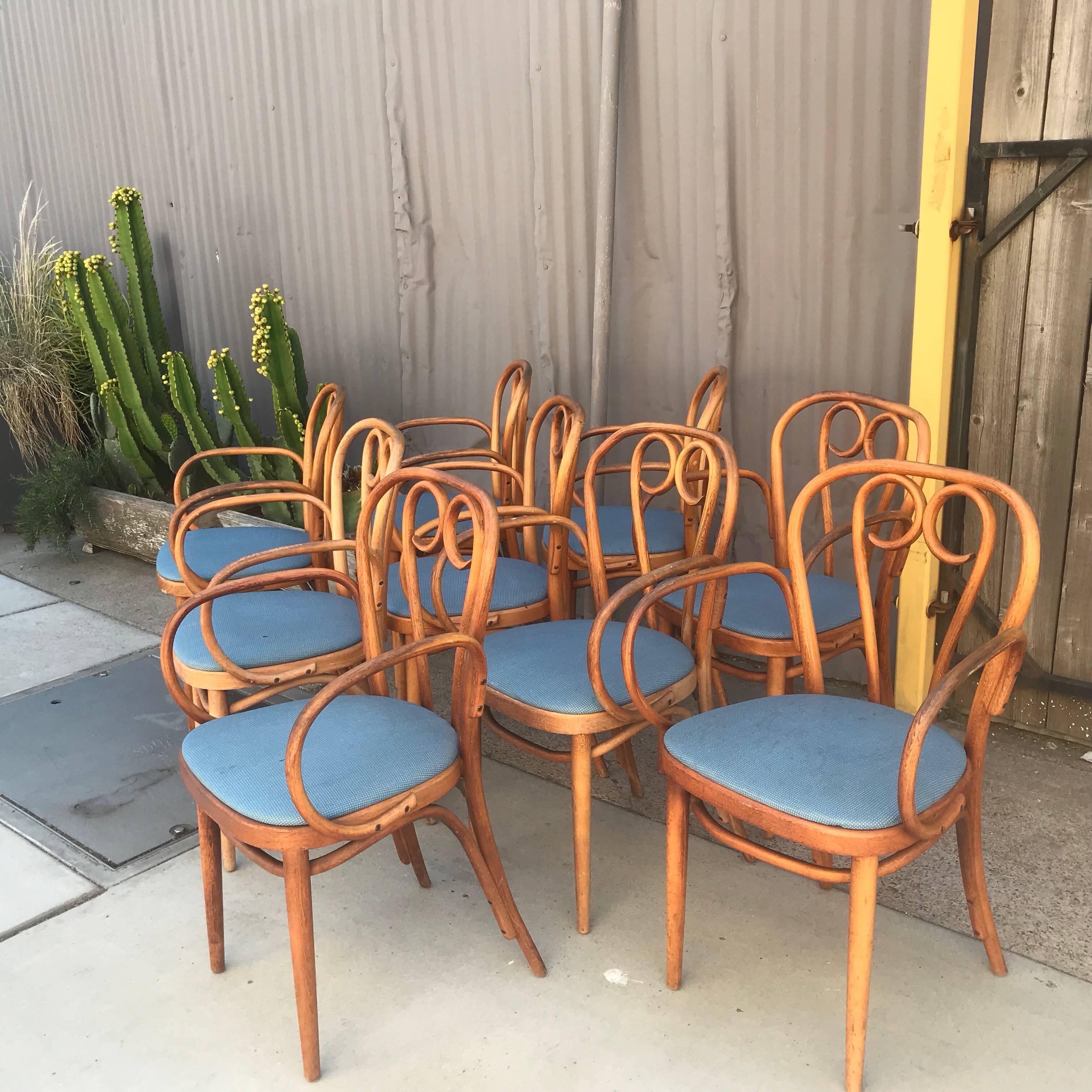 For your consideration a set of nine Vintage Thonet bentwood armchairs.
Price per chair. $500 
 
 Original vintage condition, refer to images. 
 
Measures: 35 3/4