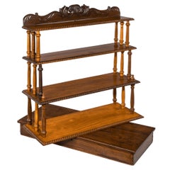 Used Set of Anglo-Ceylonese Specimen Wood Campaign Wall Shelves in a Travelling Box