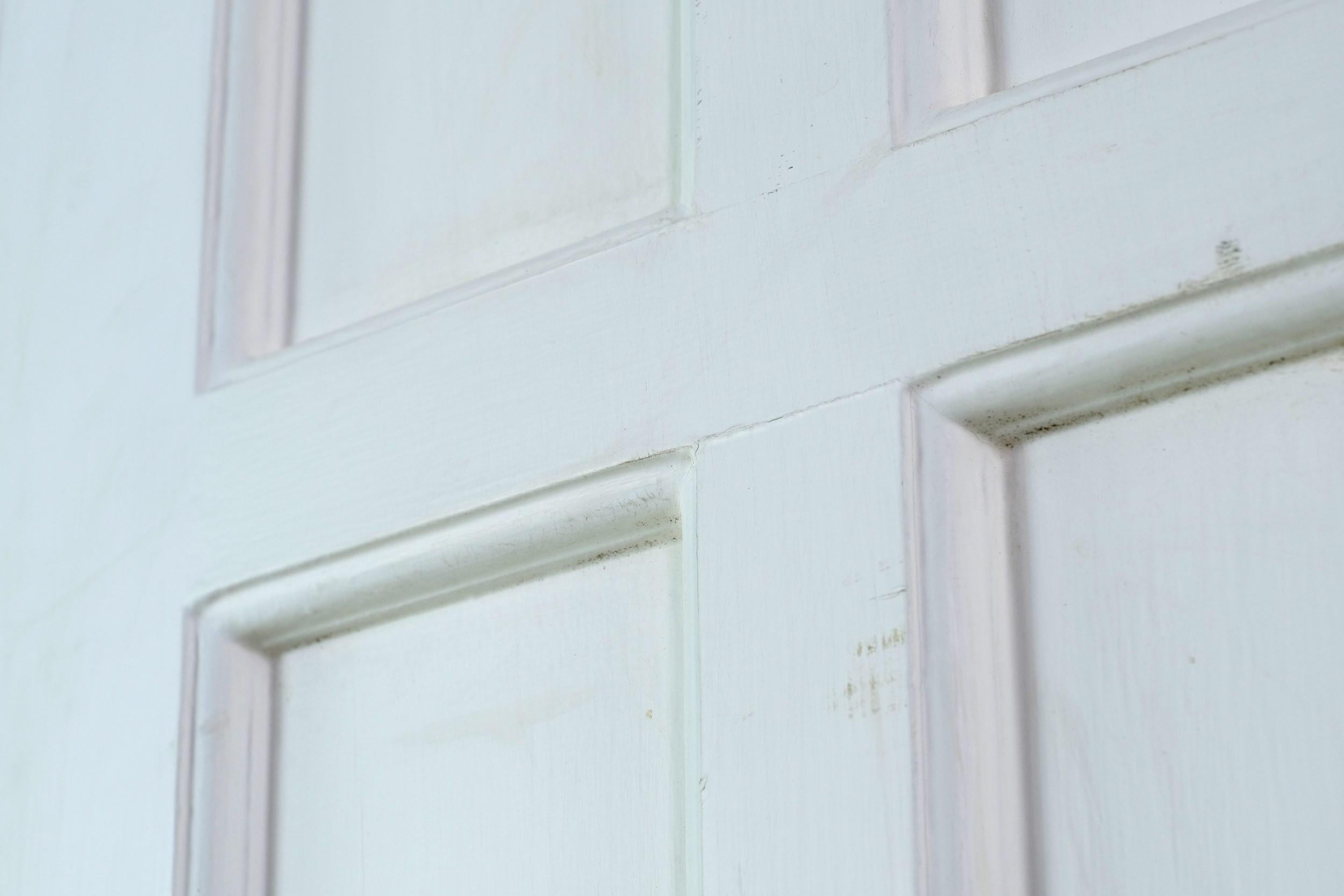 American Set Antique 8 Panes Wood Doors w/ Vertical Panes & Painted White