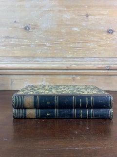 Set di libri antichi rilegati risalenti al XIX secolo, Francia
