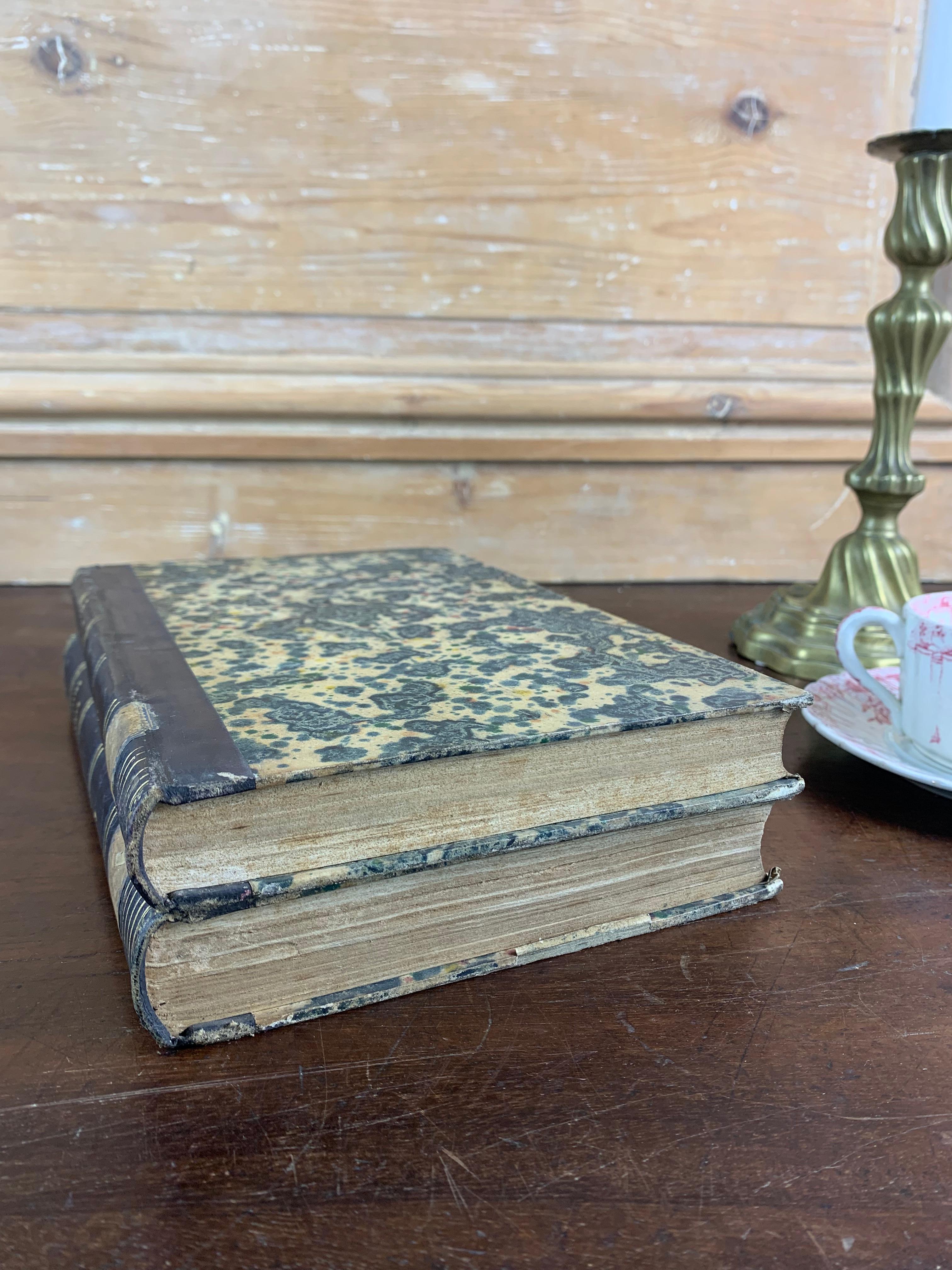 Set of Antique Bound Books Dating from the 19th Century, France For Sale 1