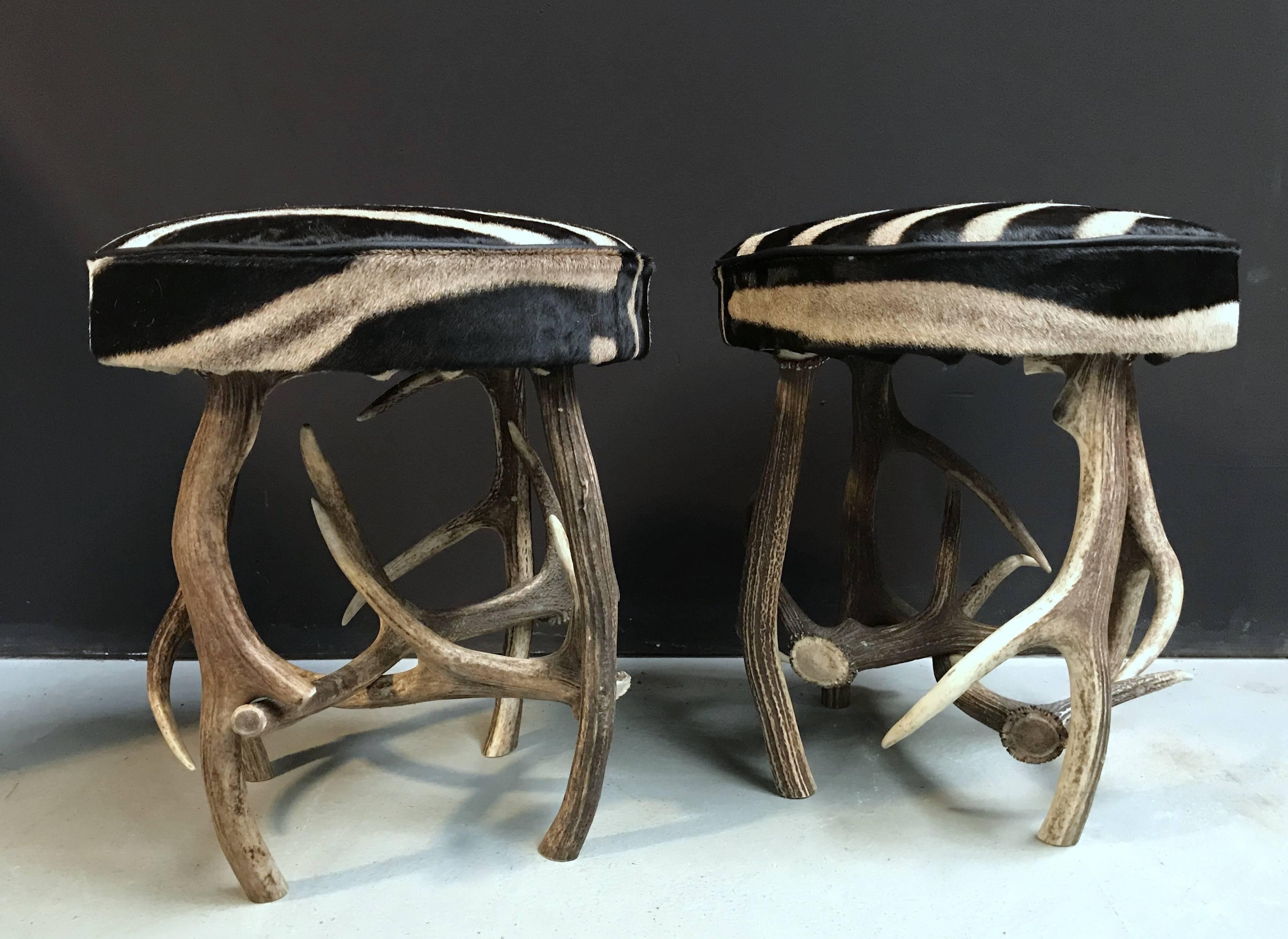 Set of Antler Stools with Zebra Hide In Excellent Condition In Eindhoven, NL