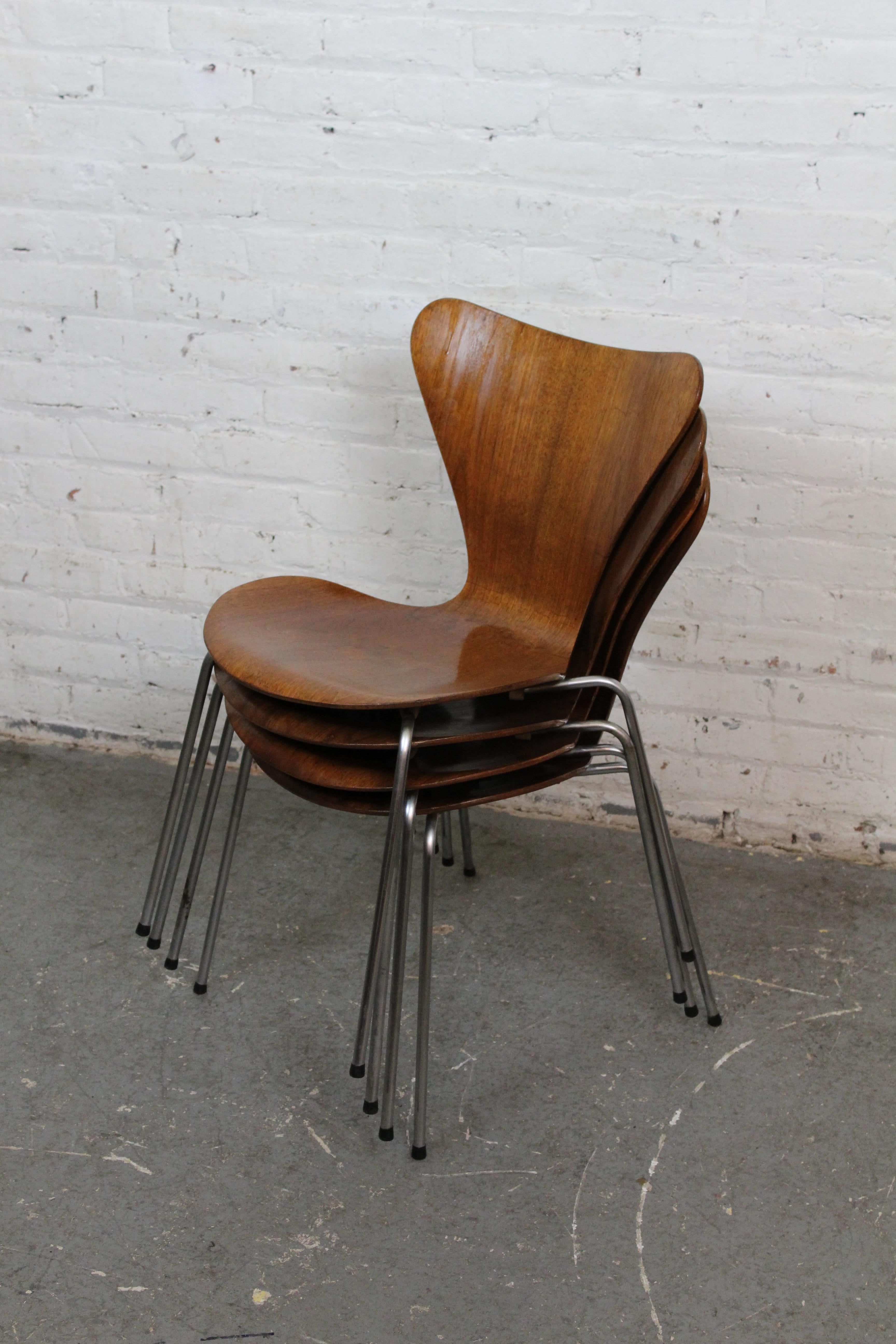 Set of Arne Jacobsen Series 7 (3107) Chairs by Fritz Hansen c. 1950s 12