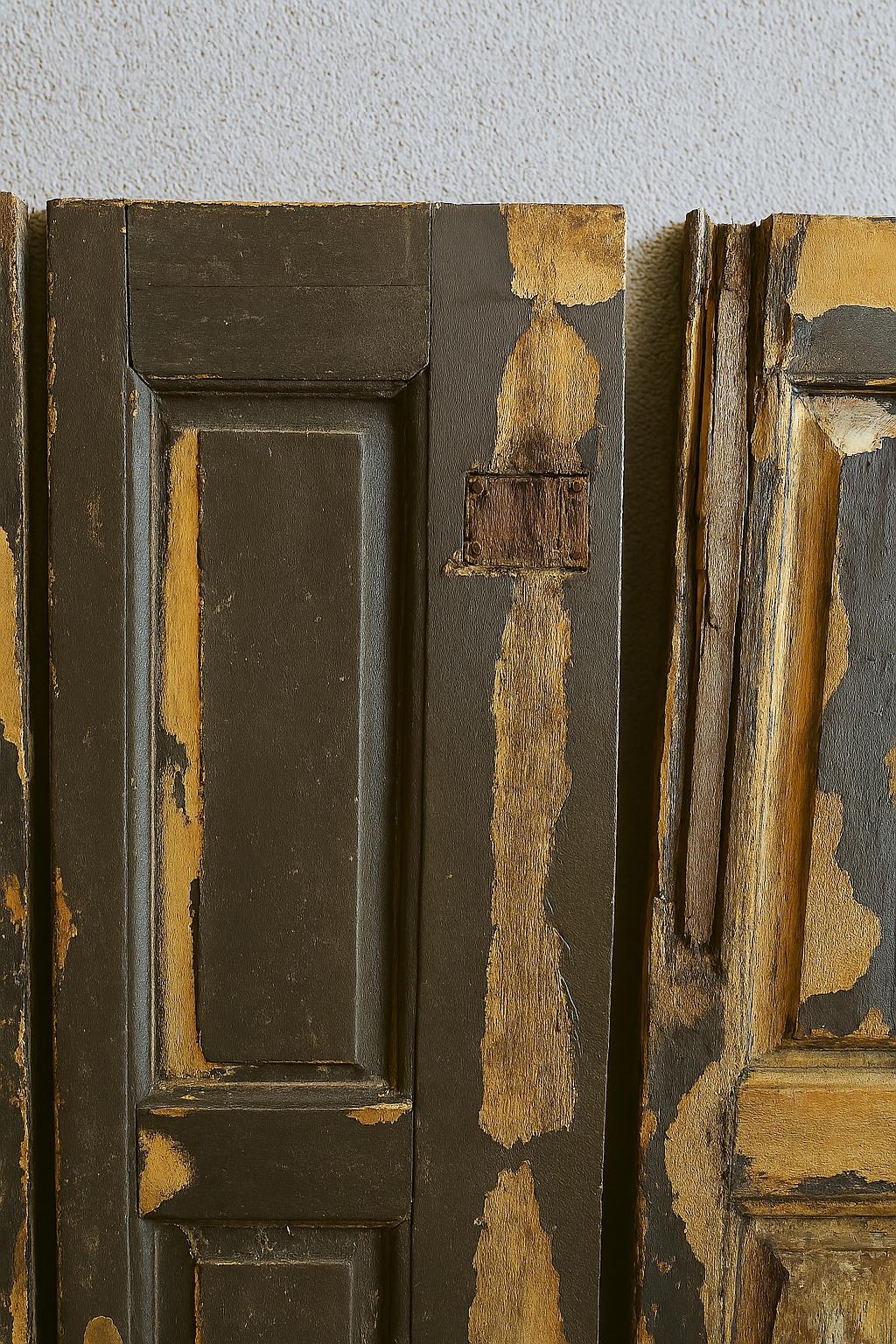 Oak Set Of Beautiful Old Doors, 20th Century For Sale