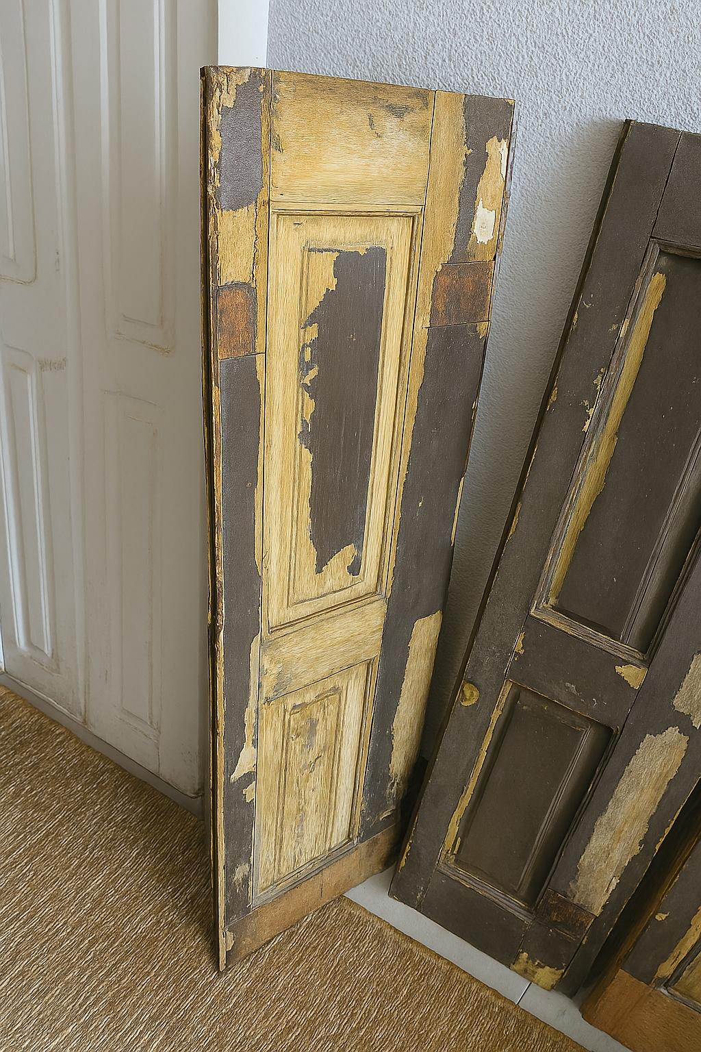 Set Of Beautiful Old Doors, 20th Century For Sale 1