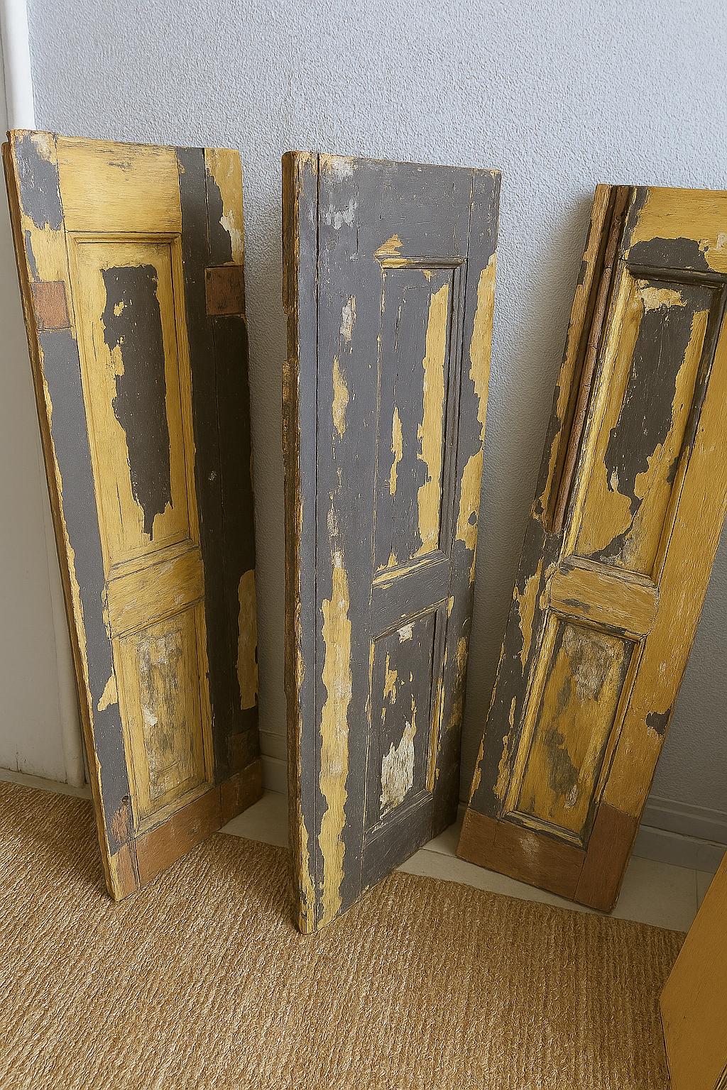 Set Of Beautiful Old Doors, 20th Century For Sale 2