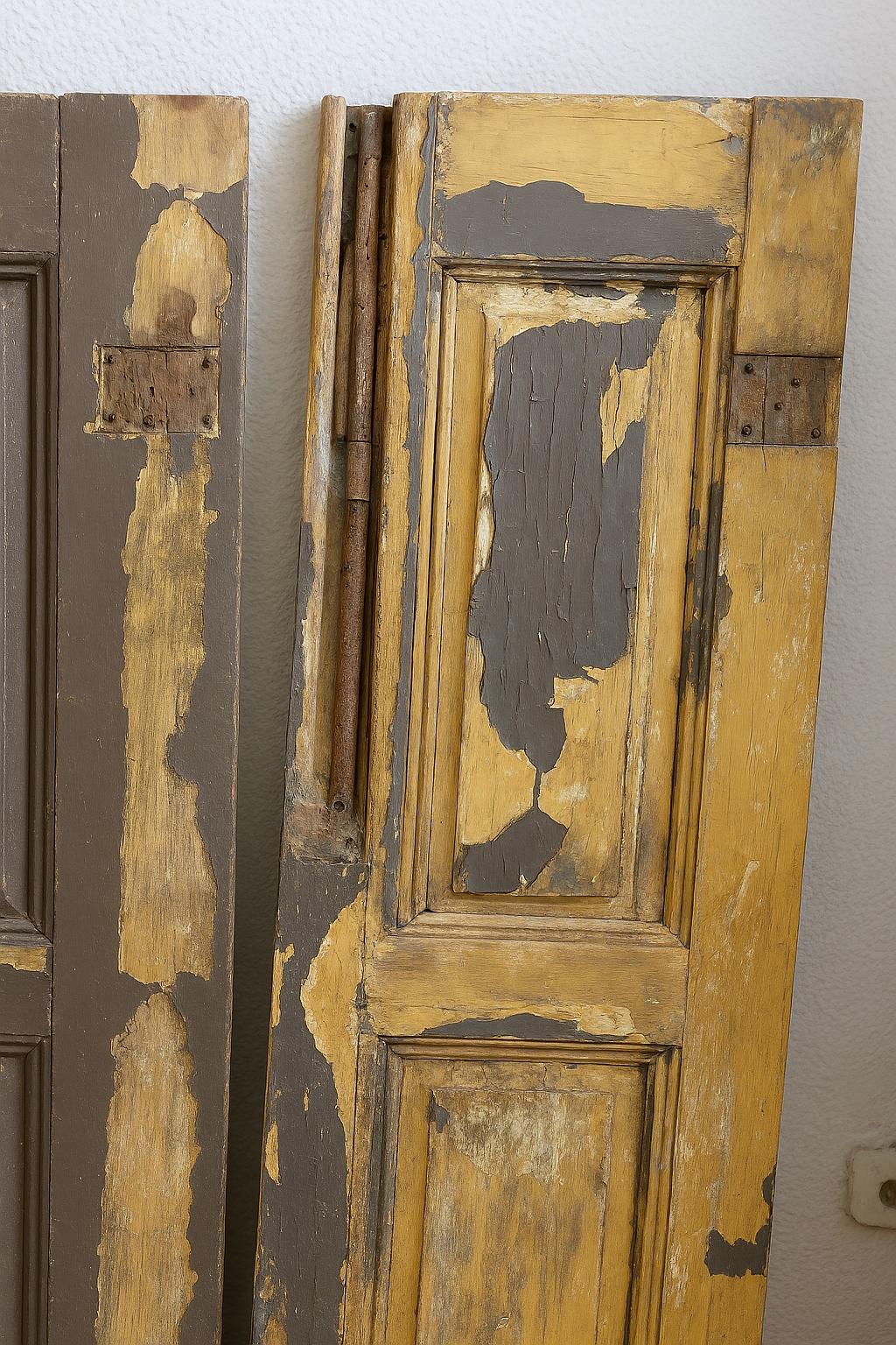 Set Of Beautiful Old Doors, 20th Century For Sale 3