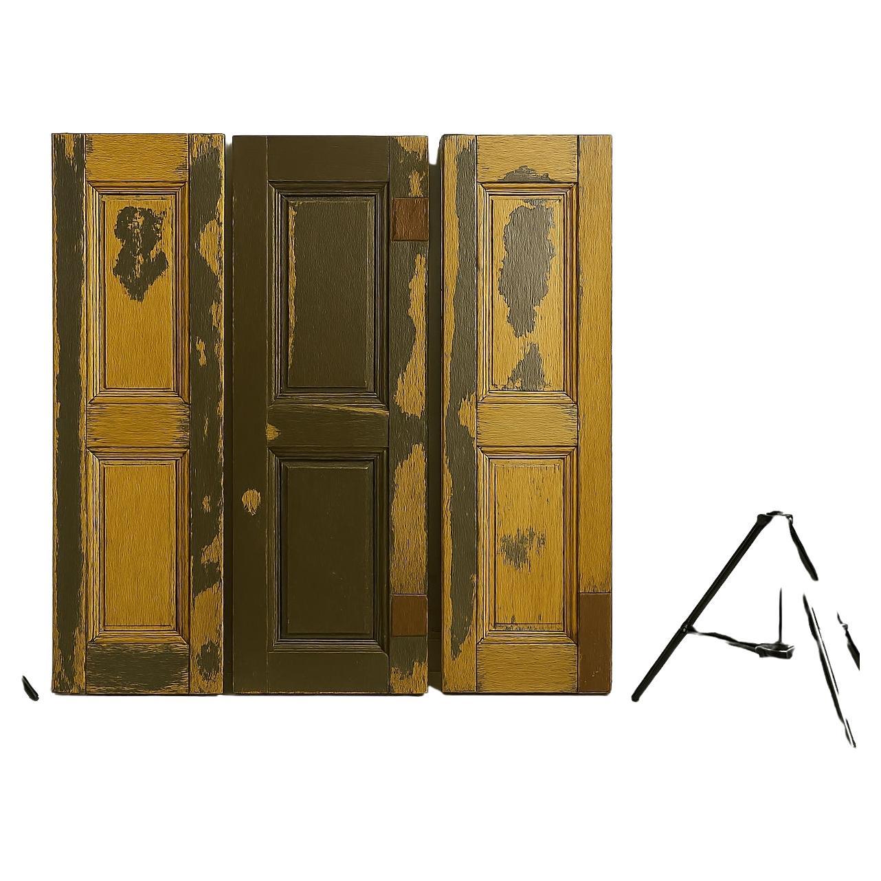 A rare and charming set of three doors featuring a beautifully aged patina. These pieces add character and sophistication to any interior style—perfect for decorating or simply showcasing as unique statement pieces