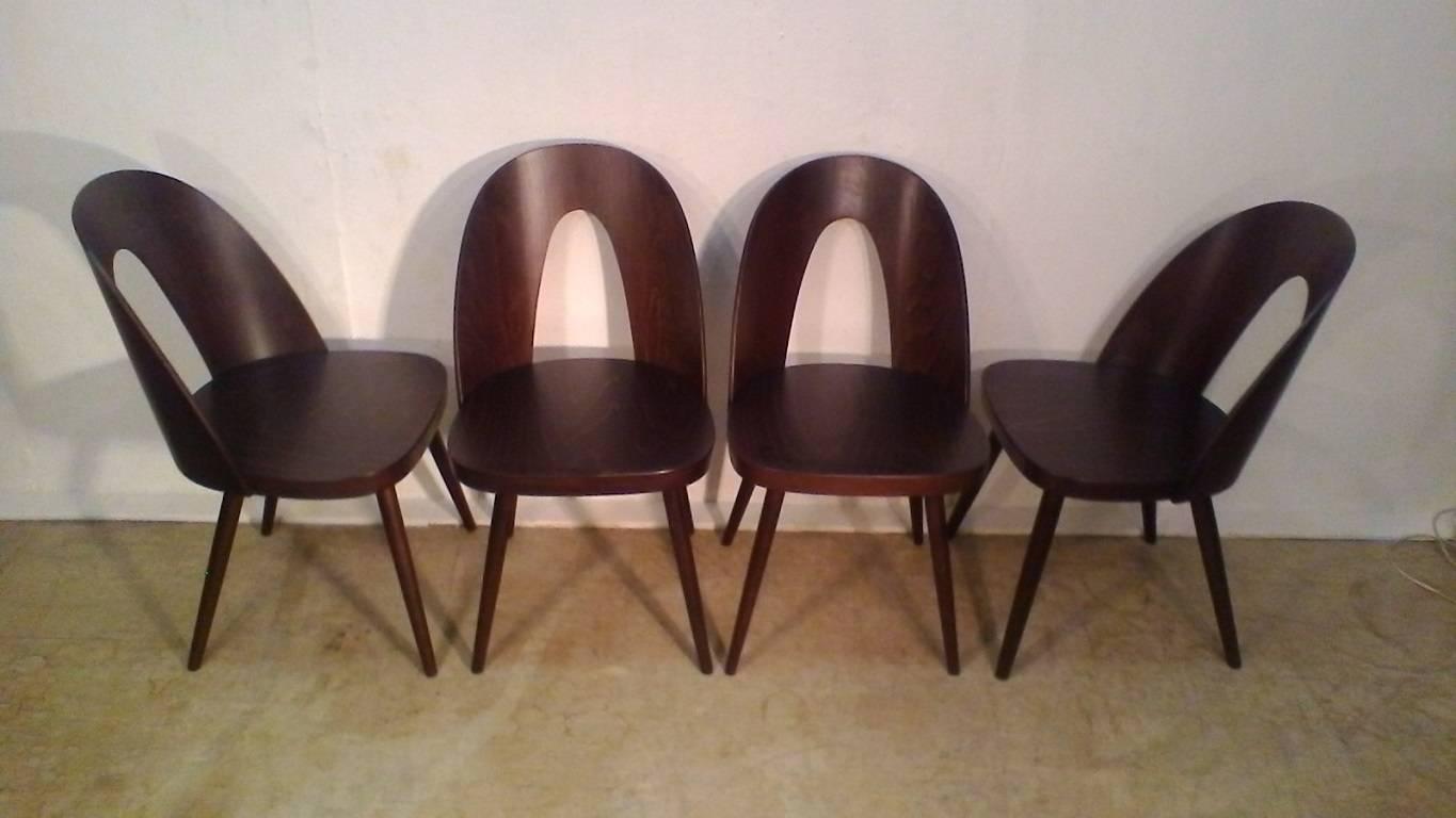 Czech Set of Beechwood Chairs, Design Antonín Šuman, 1960s