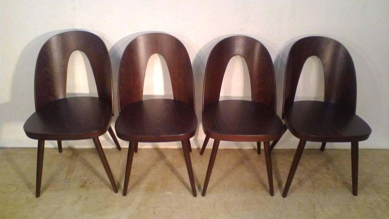 Set of Beechwood Chairs, Design Antonín Šuman, 1960s In Good Condition In Praha, CZ