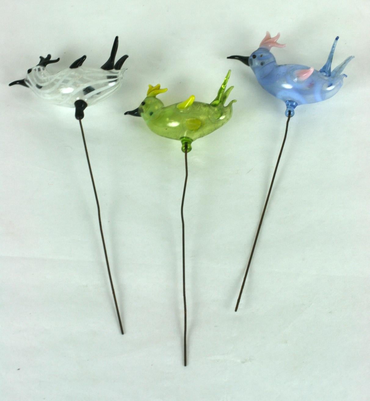 Blown Glass Set of Bimini Birds