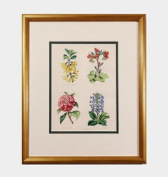 Set of Botanical Prints by W. Thompson, "The English Flower Garden"