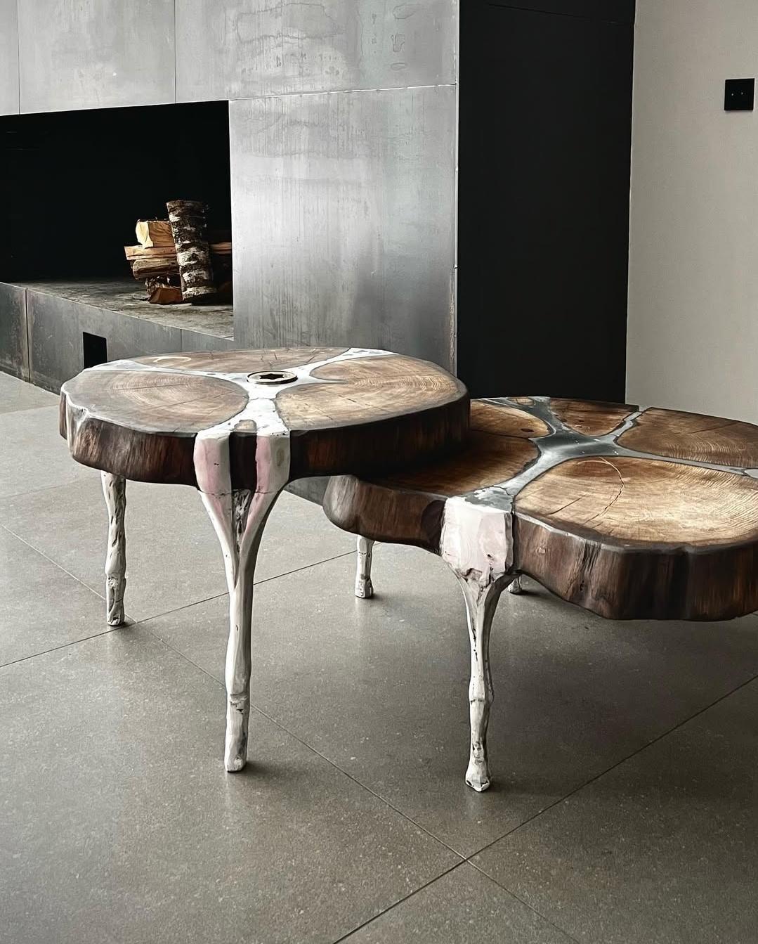 
Modesrn Brutalistischer handgefertigter Couchtisch aus Holz und Aluguss  in anatomischen Formen


Tauchen Sie ein in die Welt des einzigartigen Designs mit diesem handgefertigten Couchtisch, bei dem sich Holz und Aluminiumguss in perfekter Harmonie