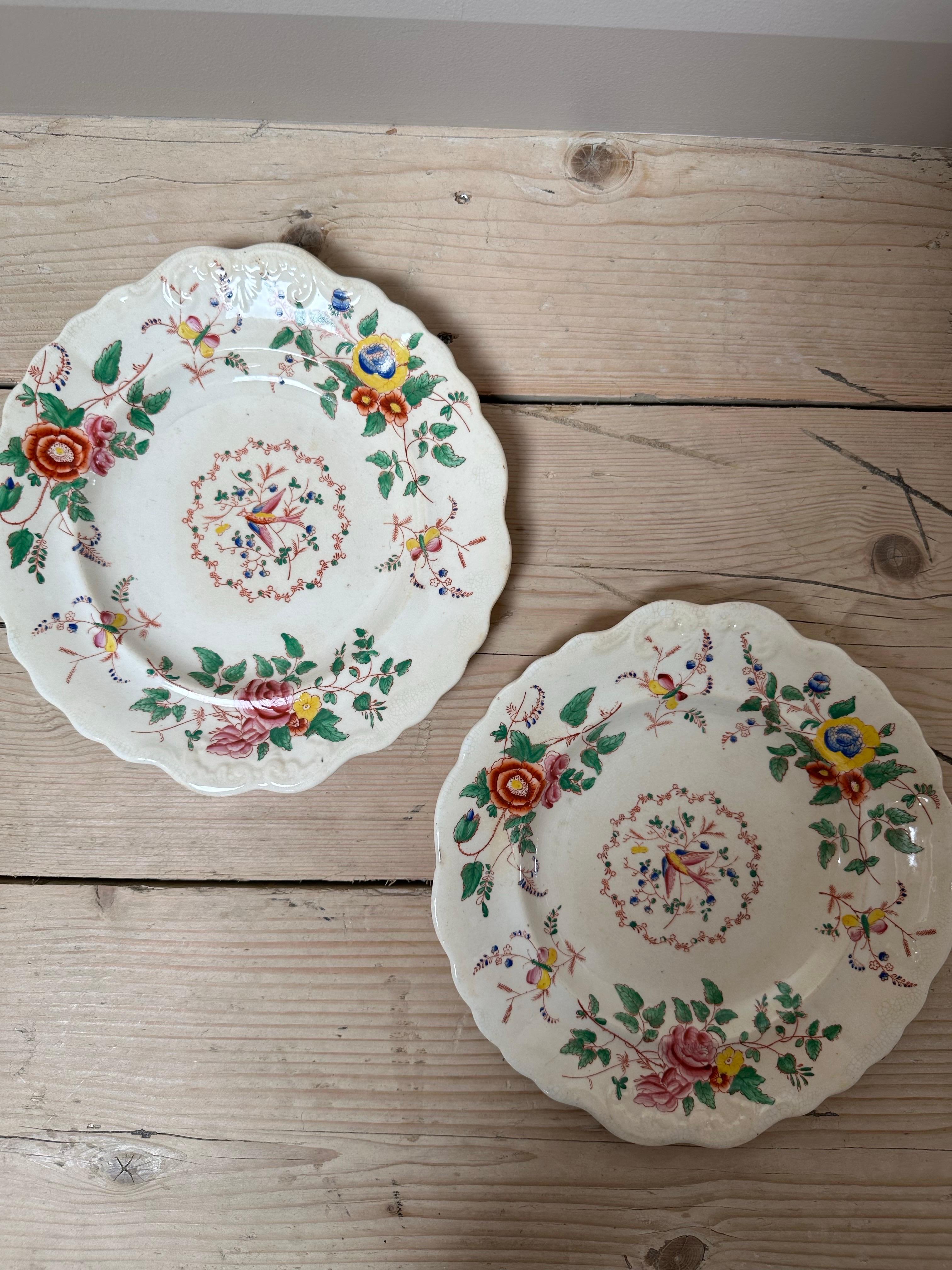 Add charm to your collection with this beautiful set of two antique plates, decorated in the classic Chinese Famille Rose pattern.

Each plate features a lively design of hand-painted florals, leafy sprays, and delicate birds, rendered in the