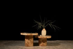 Set of Coffee Tables in Poplar Burl Veneer and Polished Onyx