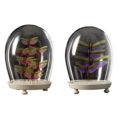 Set of Colorful Insect Compositions in Czech Mouth Blown Glass Globe