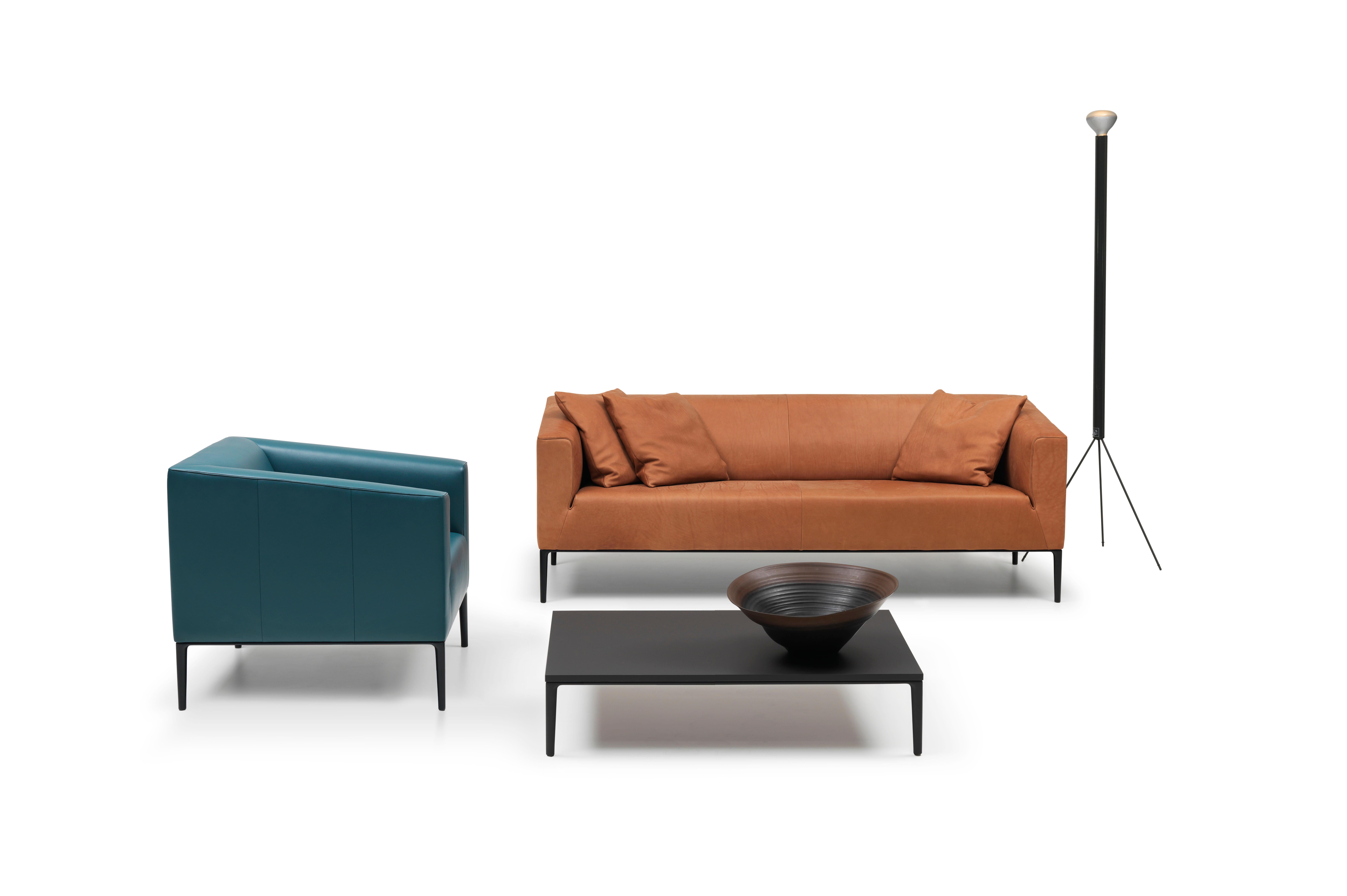 Modern Set of DS-161 Sofa and 2 Cushions by De Sede