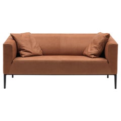 Set of DS-161 Sofa and 2 Cushions by De Sede