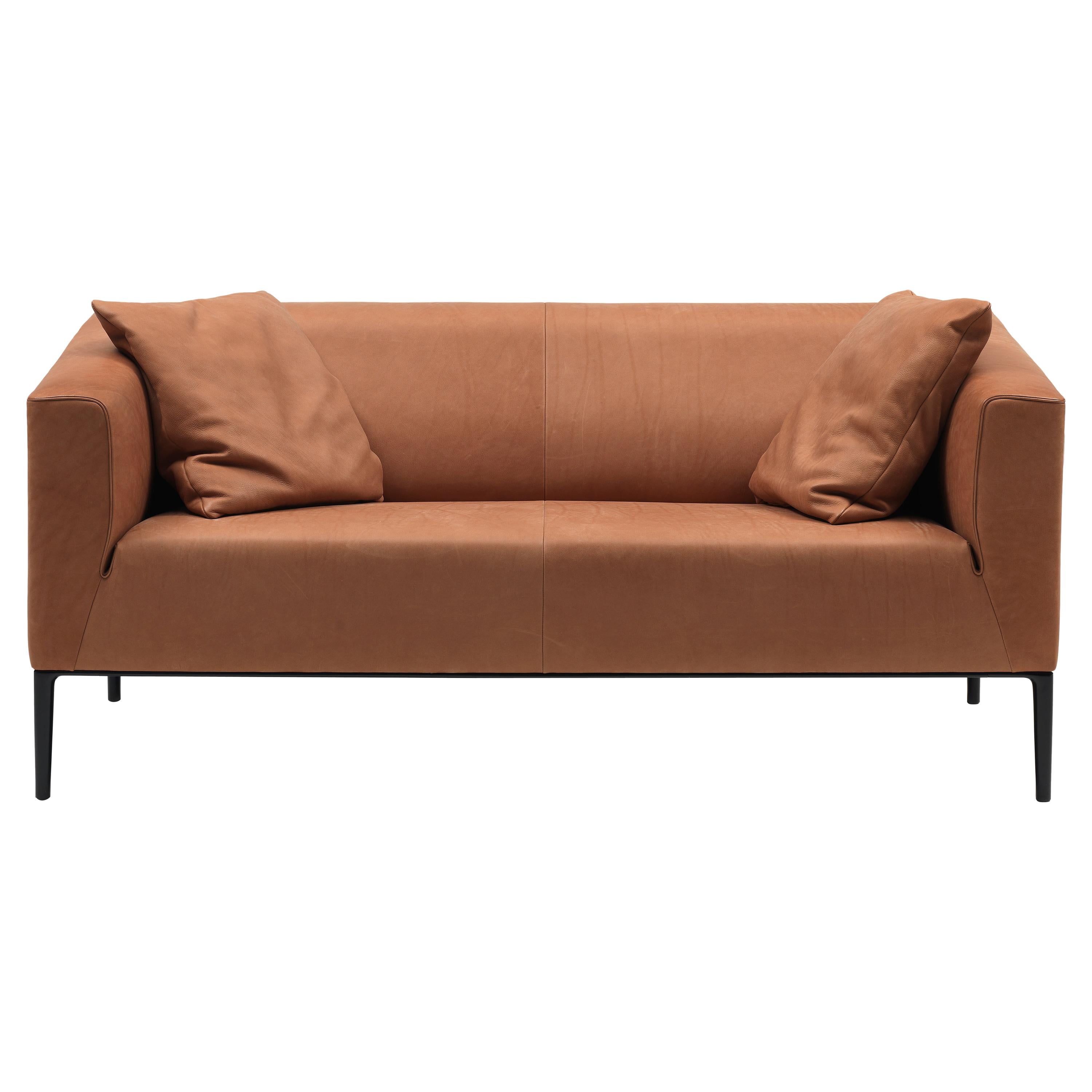 Set of DS-161 Sofa and 2 Cushions by De Sede For Sale
