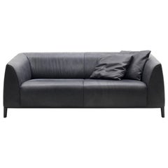 Set of DS-276 Sofa and Cushions by De Sede