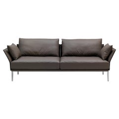 Set of DS-333 Sofa and Cushions by De Sede