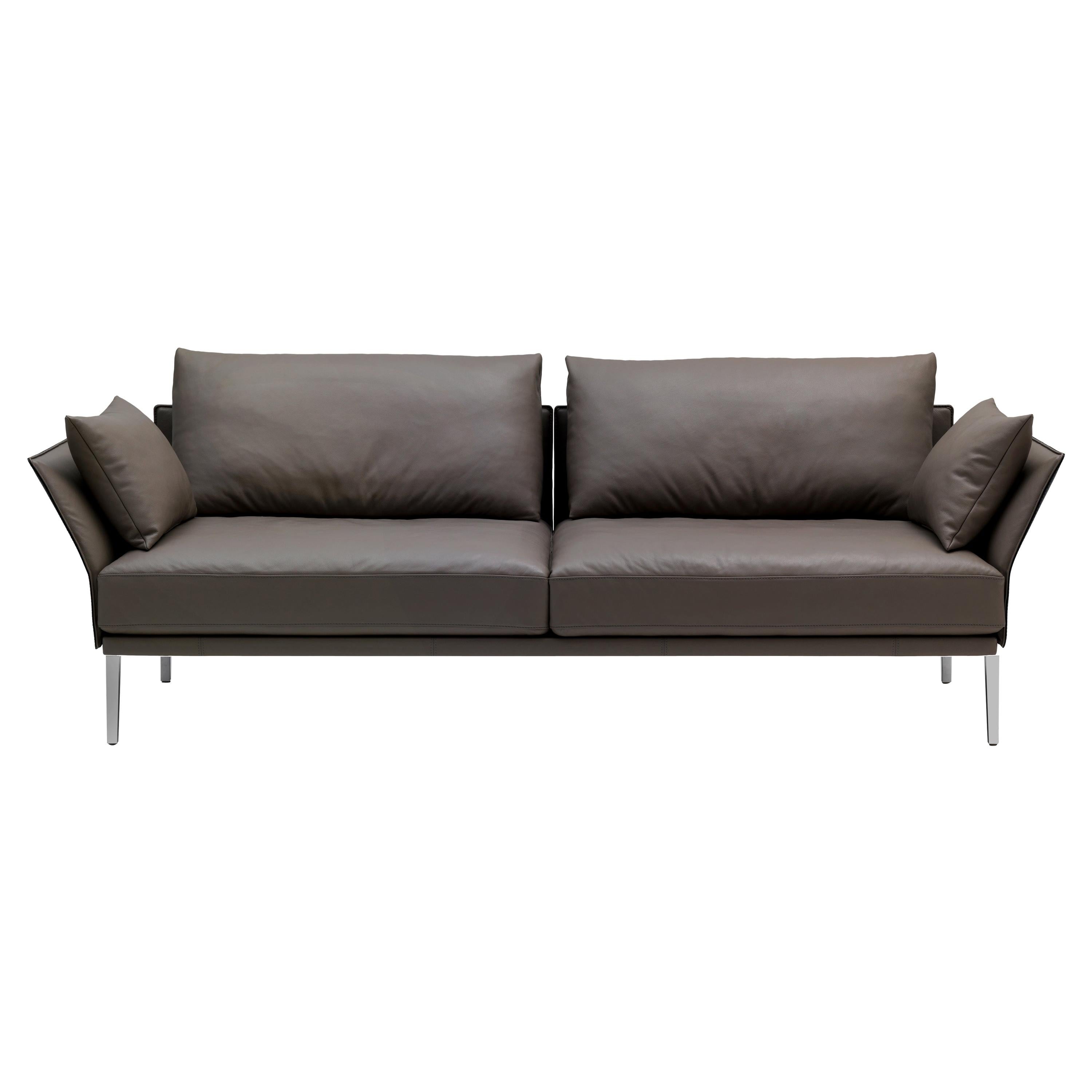 Set von Ds-333 Sofa und Kissen von De Sede