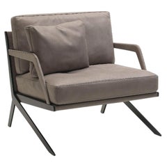 Set of DS-60 Armchair and Cushions by De Sede