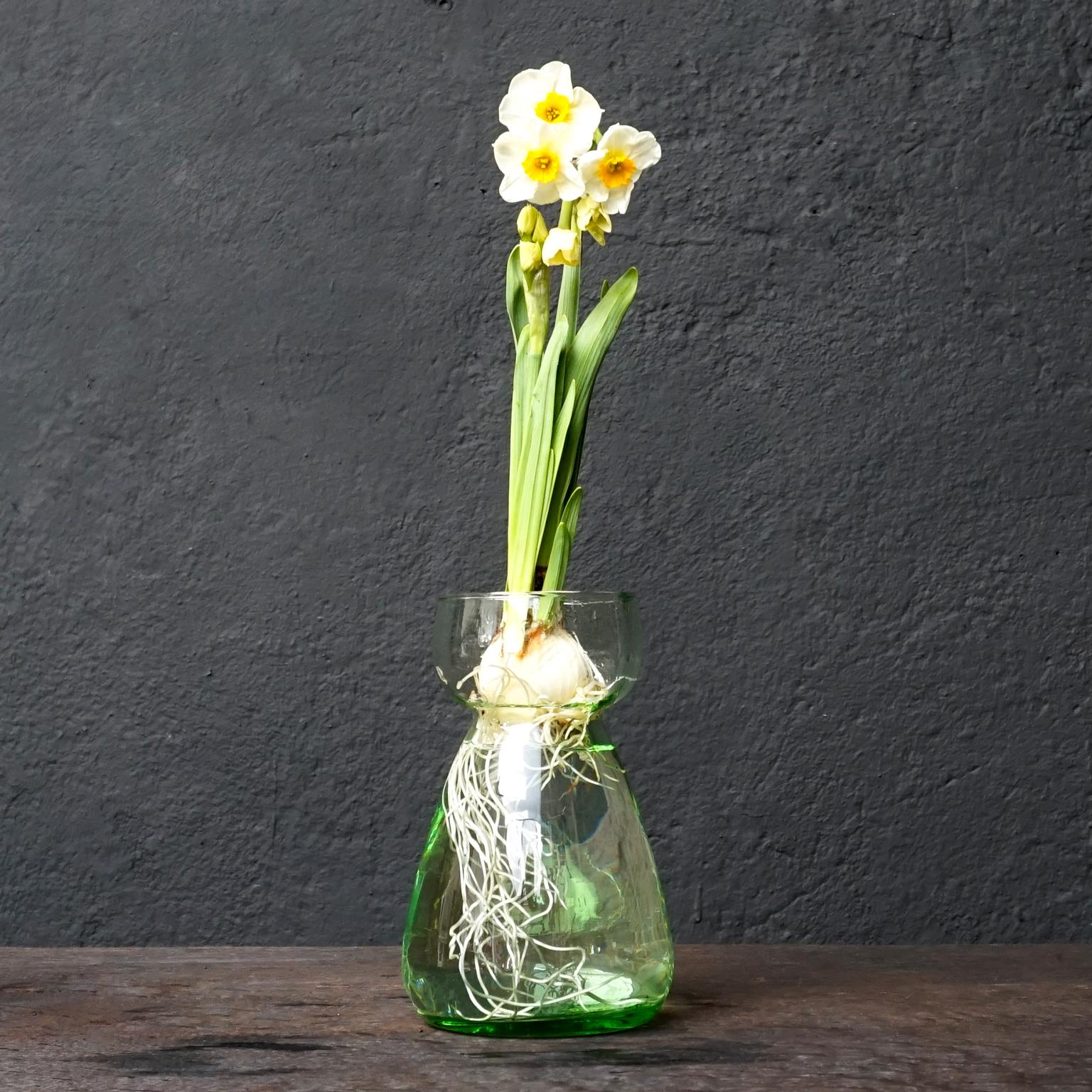 Set of Dutch 1960s Leerdam for Rimac Glass Flower Bulb Hyacinth and Crocus Vases 8