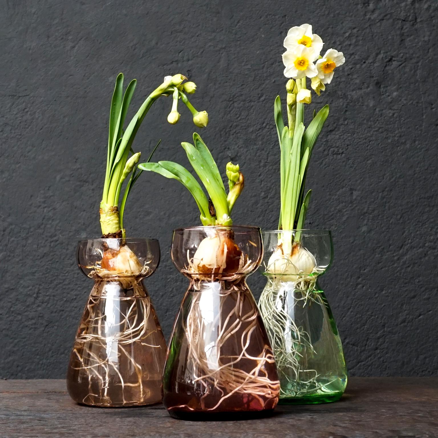 Set of Dutch 1960s Leerdam for Rimac Glass Flower Bulb Hyacinth and Crocus Vases 9