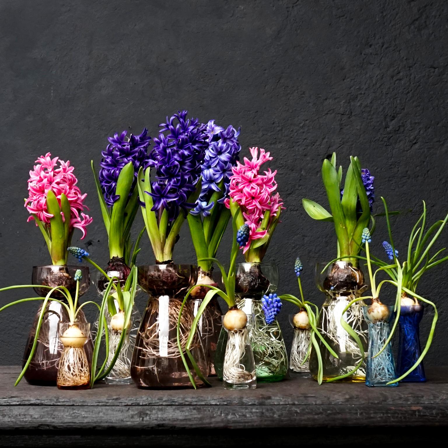 Six large 1960s pot-bellied shaped in 12 vertical optics called Rimac's 'Super' (15cm high) flower bulb hyacinth and crocus vases. Clear blown glass by Leerdam for Rimac Baarn. 
Three pink ones, a yellow one, a green one and a clear one.
And six