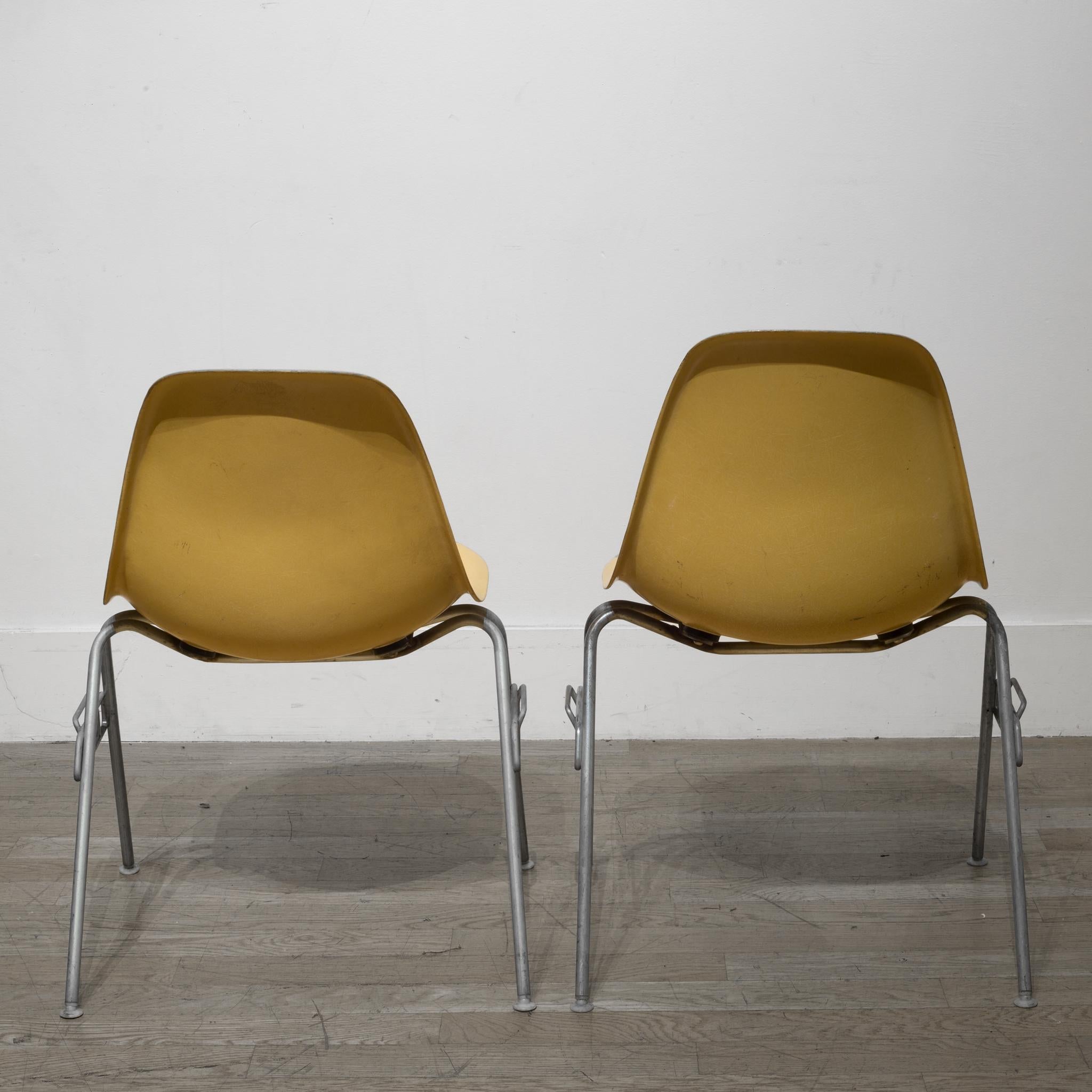 Set of Eames for Herman Miller Fiberglass Shell DSS Chair in Parchment In Good Condition In San Francisco, CA