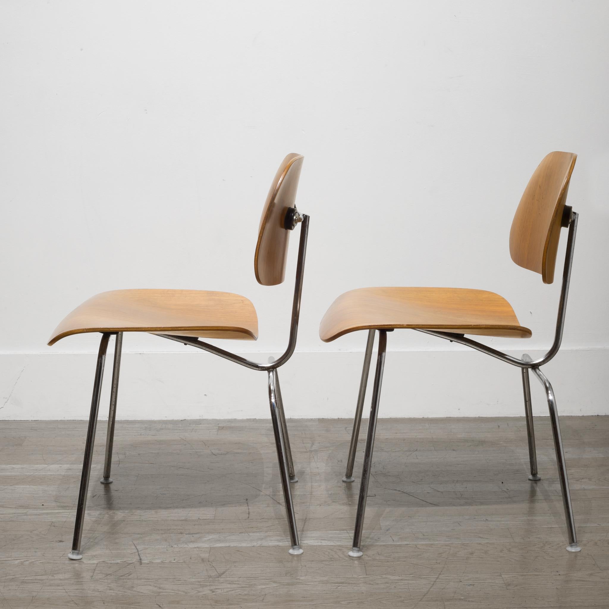 Set of Early Ray and Charles Eames for Herman Miller DCM Chairs, circa 1950s 8