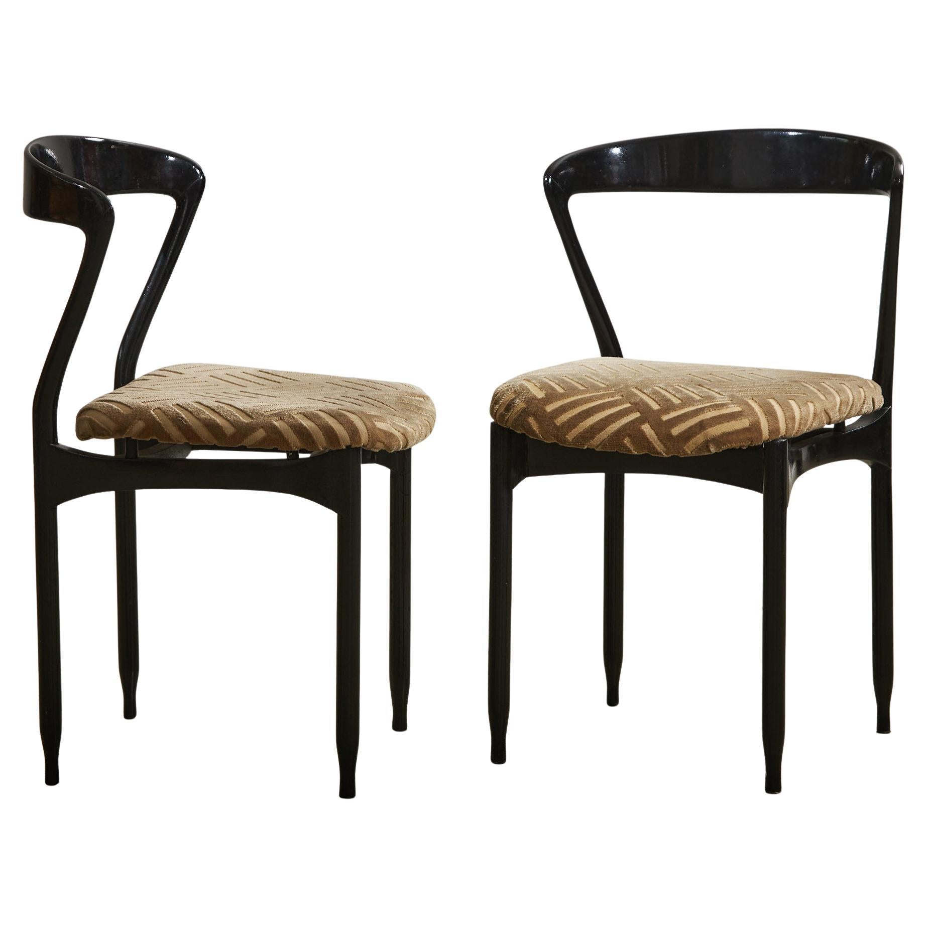 Set of Ebonized Plywood Chairs by Gigi Radice, 1956