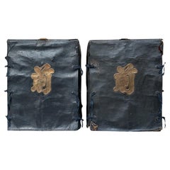 Collezionismo e curiosità