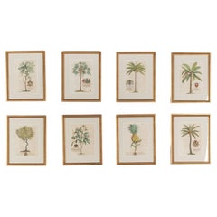 Prints