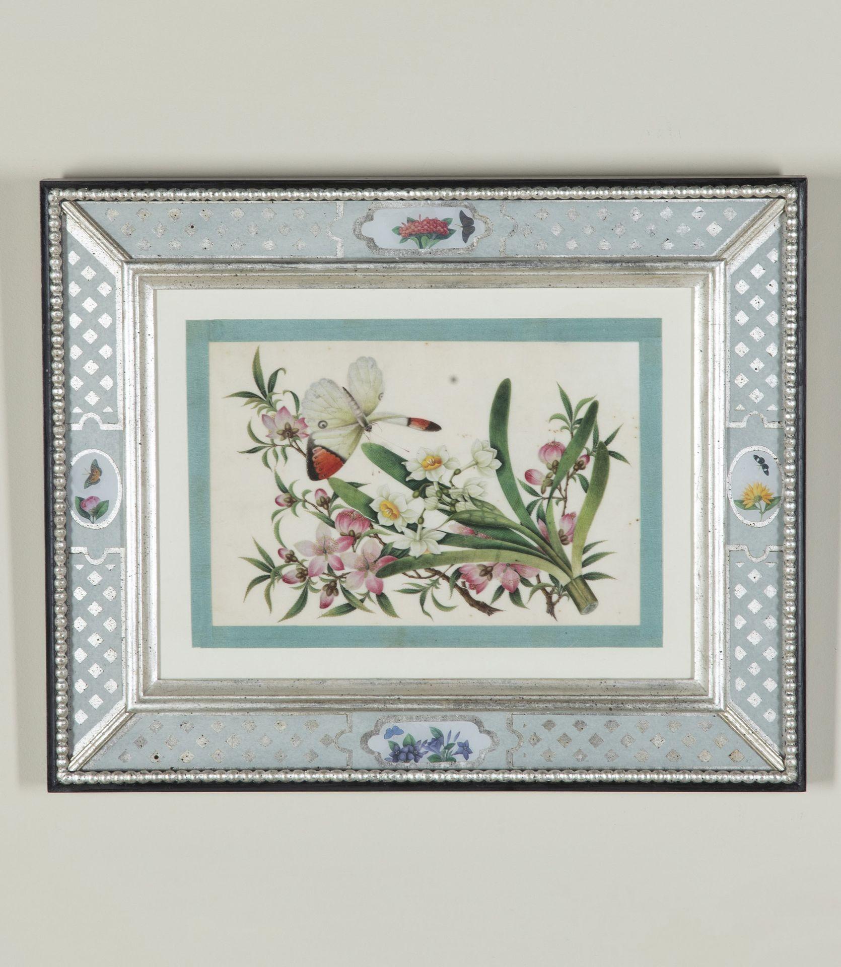 Satz von acht chinesischen Reispapiergemälden aus dem 19. im Zustand „Gut“ im Angebot in Gloucestershire, GB