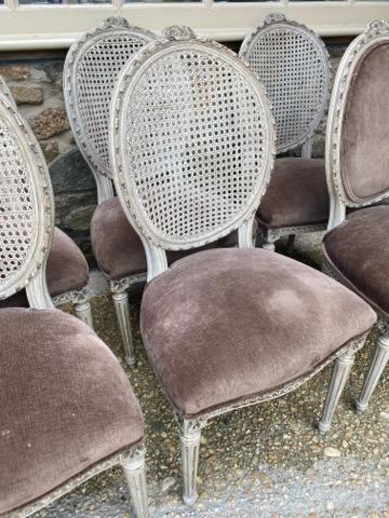French Provincial Set of Eight 19th Century French Cane Back Dining Chairs with Gray Velvet Seats