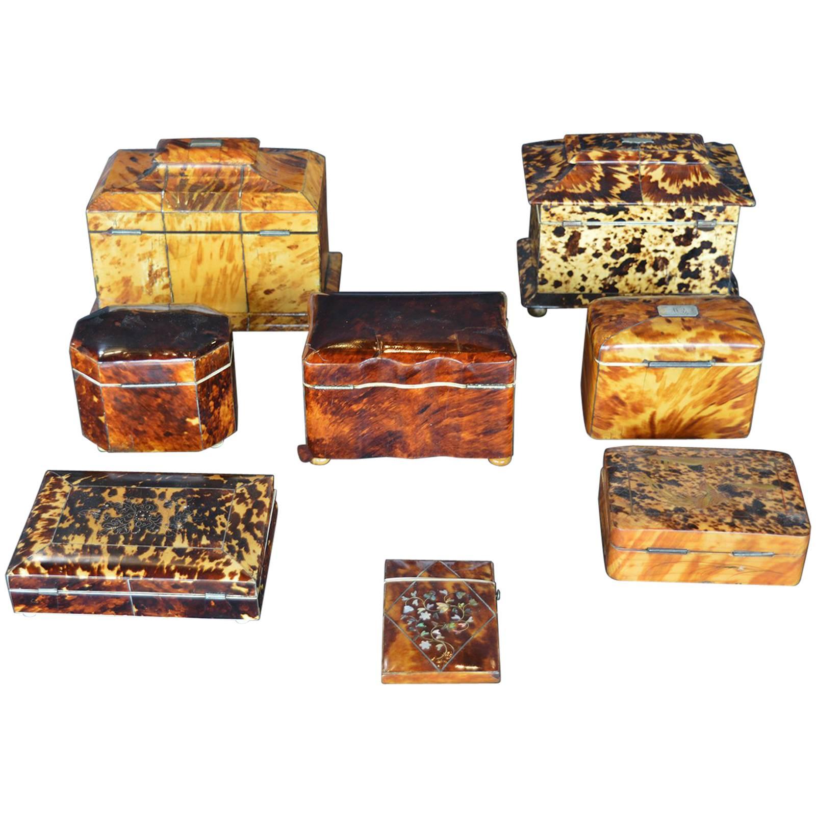Collection of six 19th century tortoiseshell boxes. Each varies in size as well as type of usage. Lined with velvet.