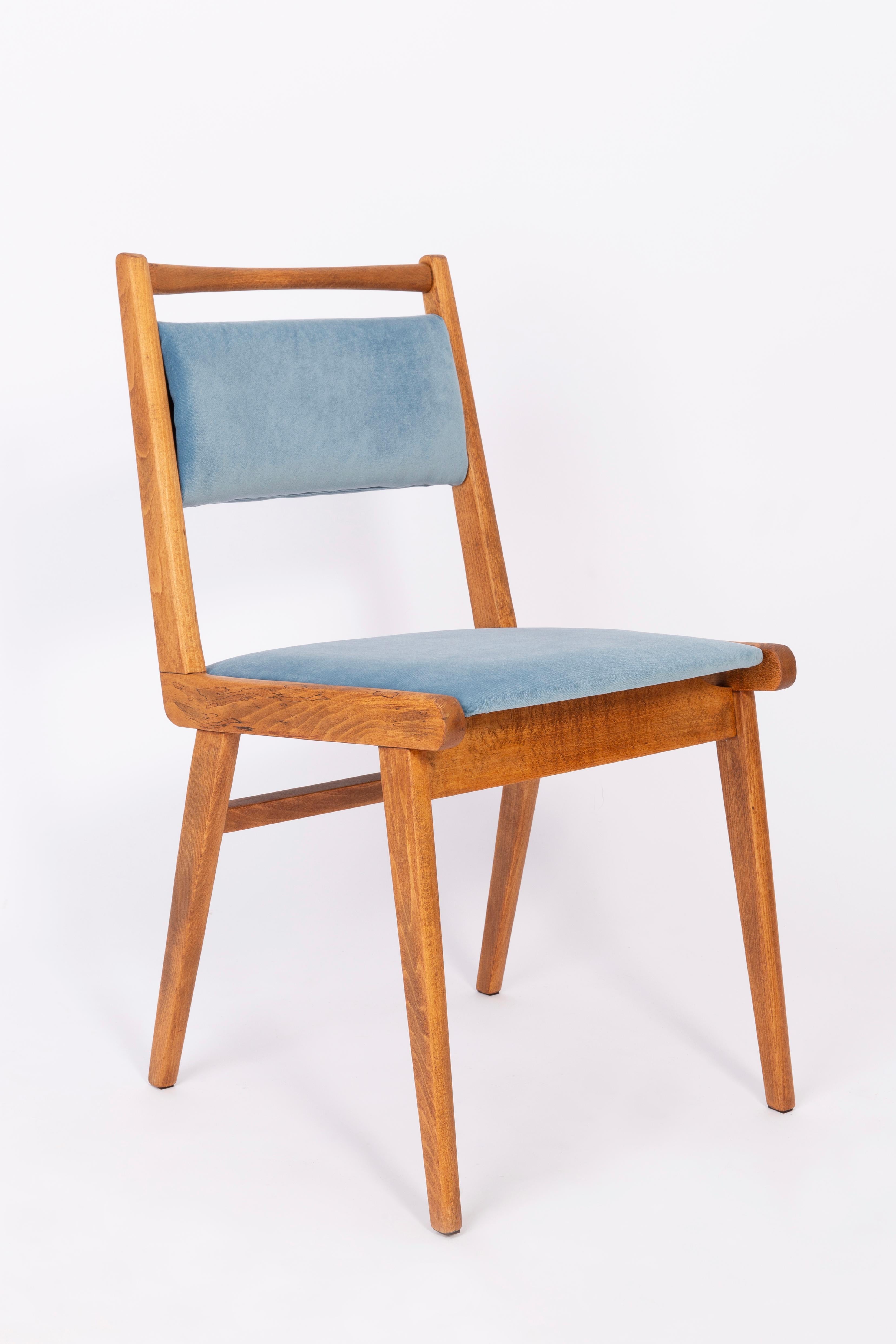 Mid-Century Modern Set of Eight 20th Century Blue Velvet Chairs, Poland, 1960s For Sale