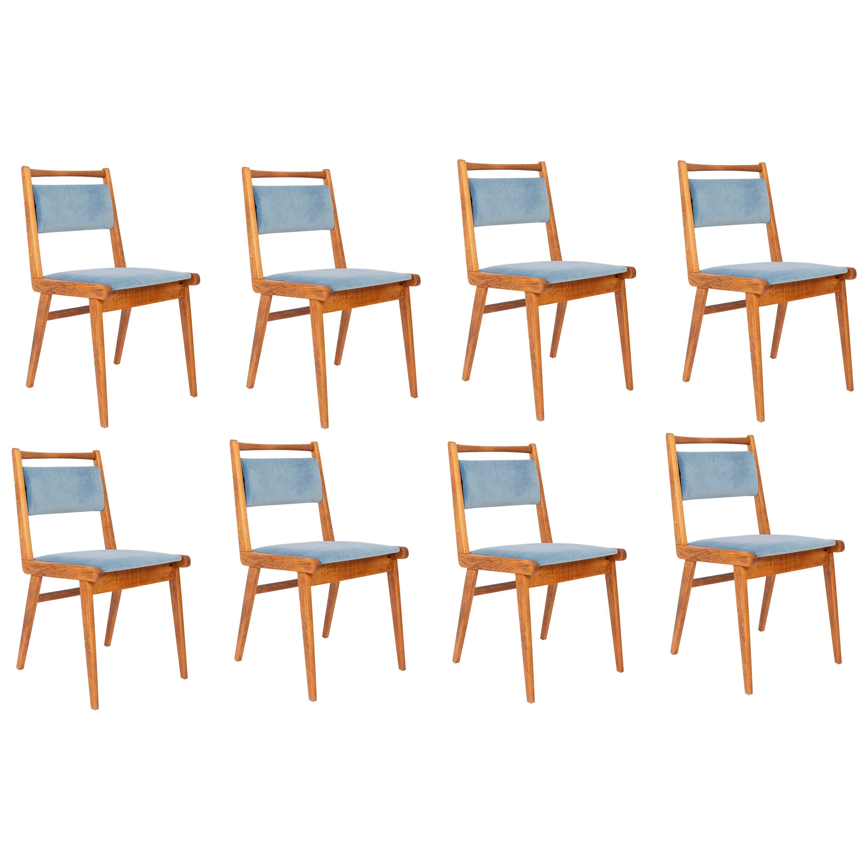 Ensemble de huit chaises en velours bleu du 20ème siècle, Pologne, années 1960