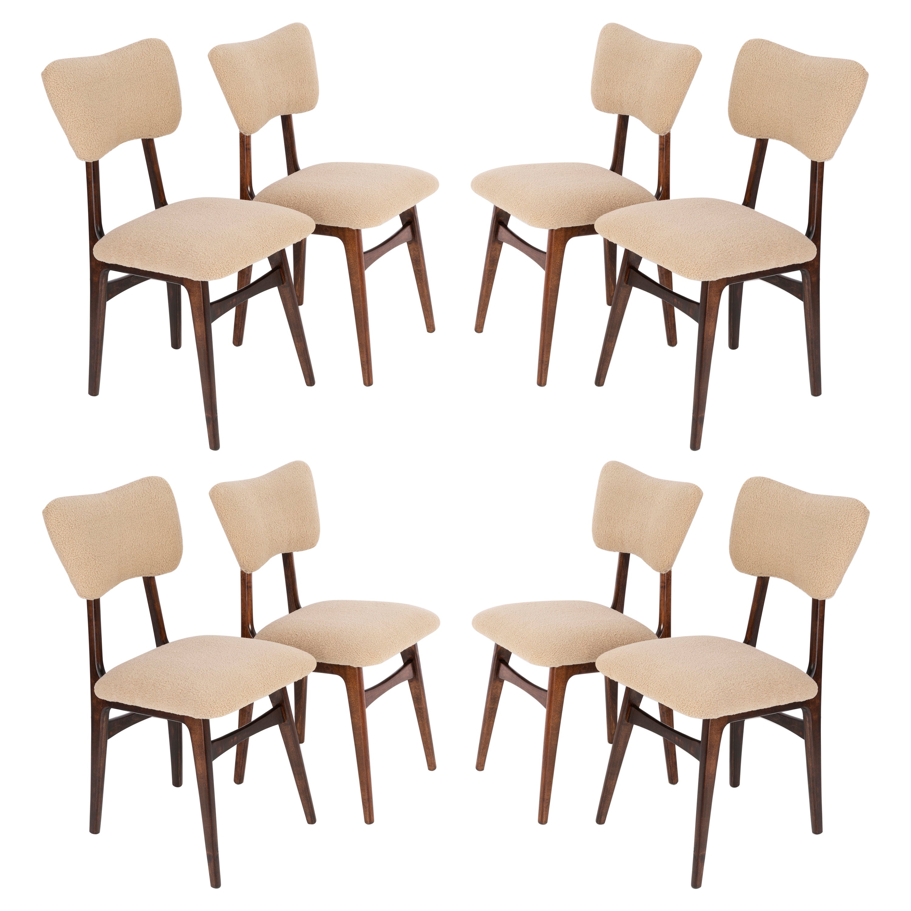 Set von acht Kamel-Bouclé-Stühlen aus dem 20. Jahrhundert, 1960er Jahre