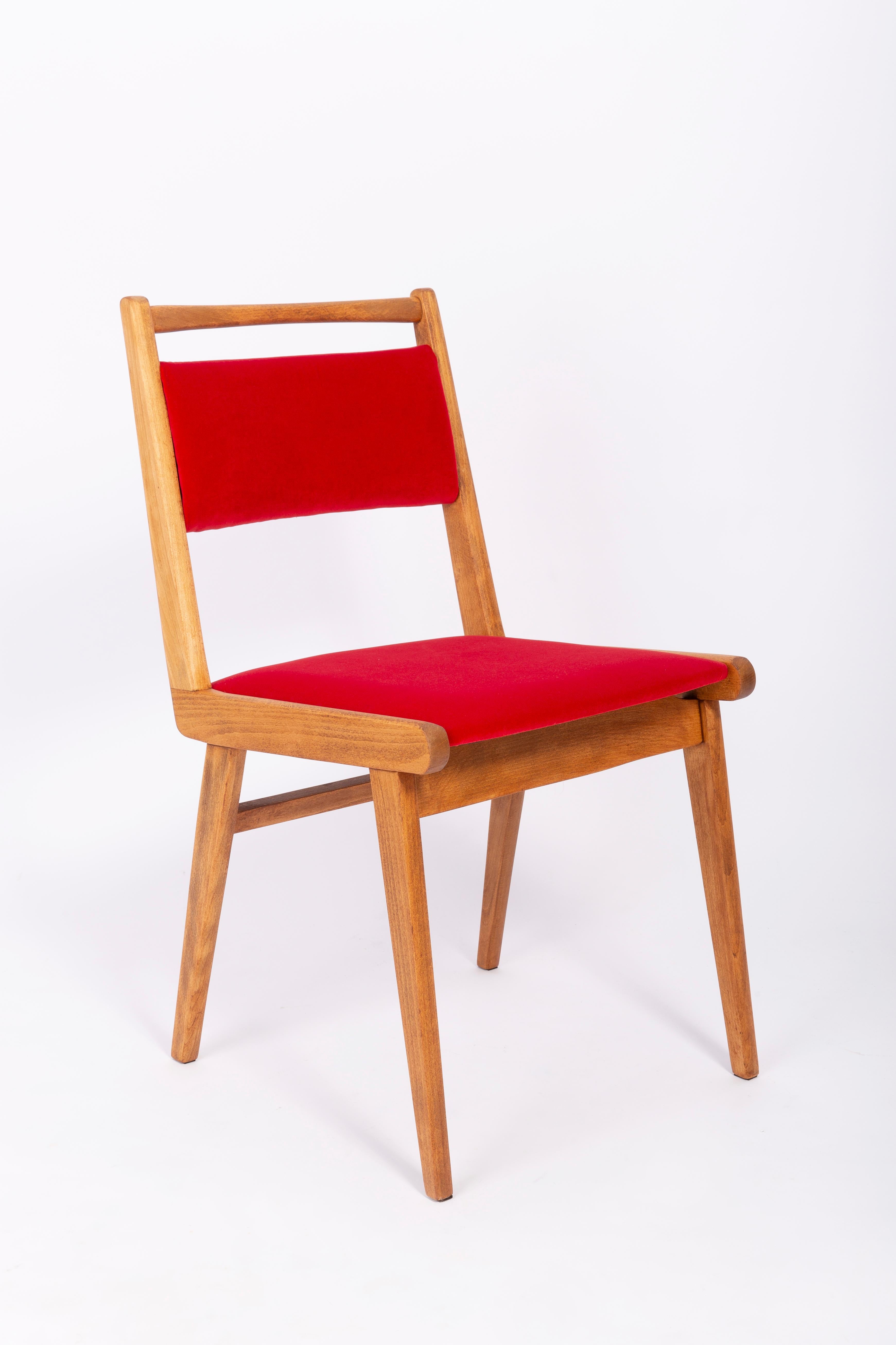 Stühle entworfen von Prof. Rajmund Halas. Es handelt sich um ein Modell vom Typ Jar. Hergestellt aus Buchenholz. Die Stühle sind komplett neu gepolstert, die Holzarbeiten wurden aufgefrischt. Sitz und Rückenlehne sind mit rotem, strapazierfähigem