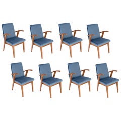 Set of Eight 20th Century Used Blue Chairs by Mieczyslaw Puchala, 1960s