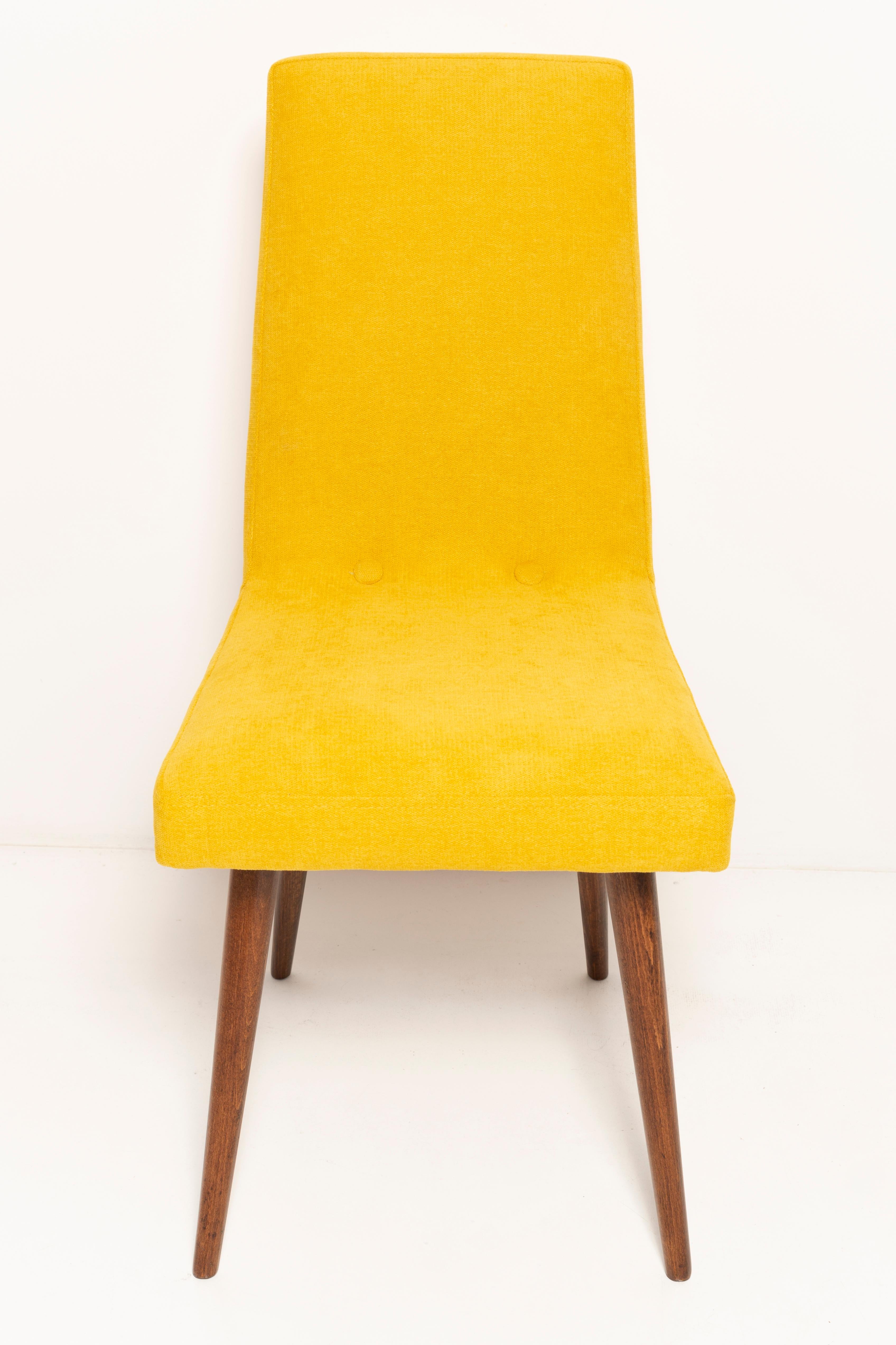 Set of Eight 20th Century Mustard Yellow Wool Chair, Rajmund Halas Europe, 1960s For Sale 2