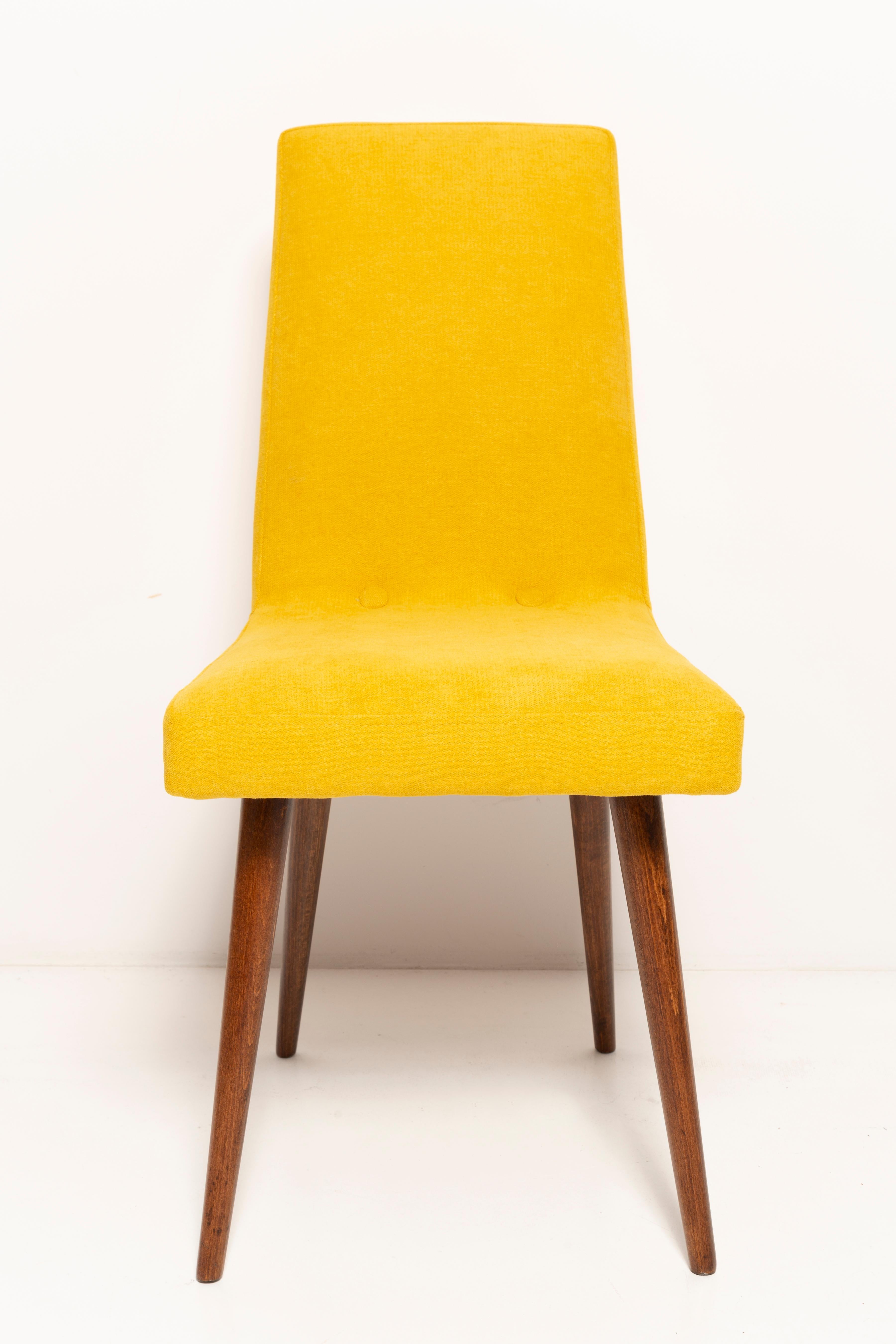 Set of Eight 20th Century Mustard Yellow Wool Chair, Rajmund Halas Europe, 1960s For Sale 3