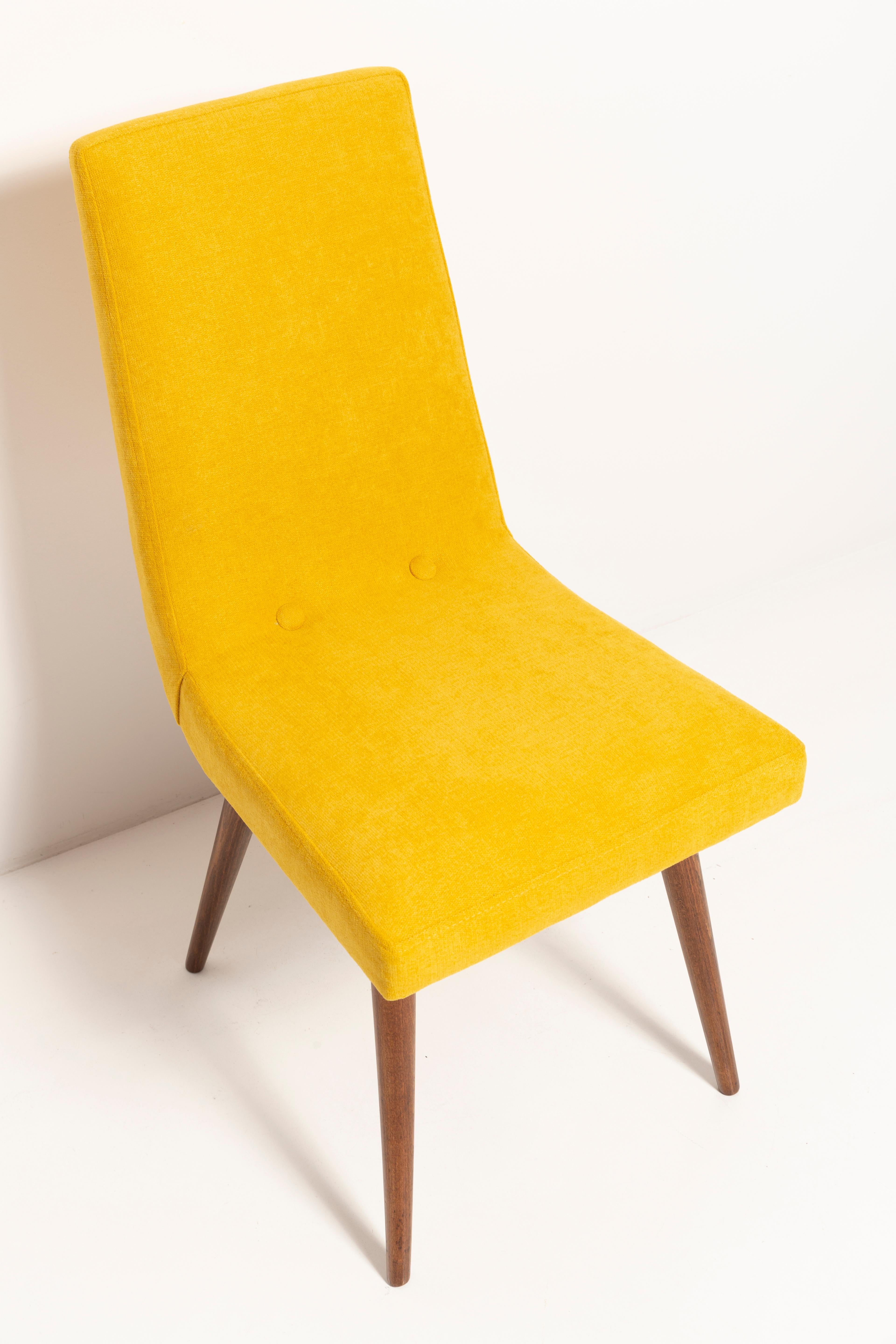 Set of Eight 20th Century Mustard Yellow Wool Chair, Rajmund Halas Europe, 1960s For Sale 4
