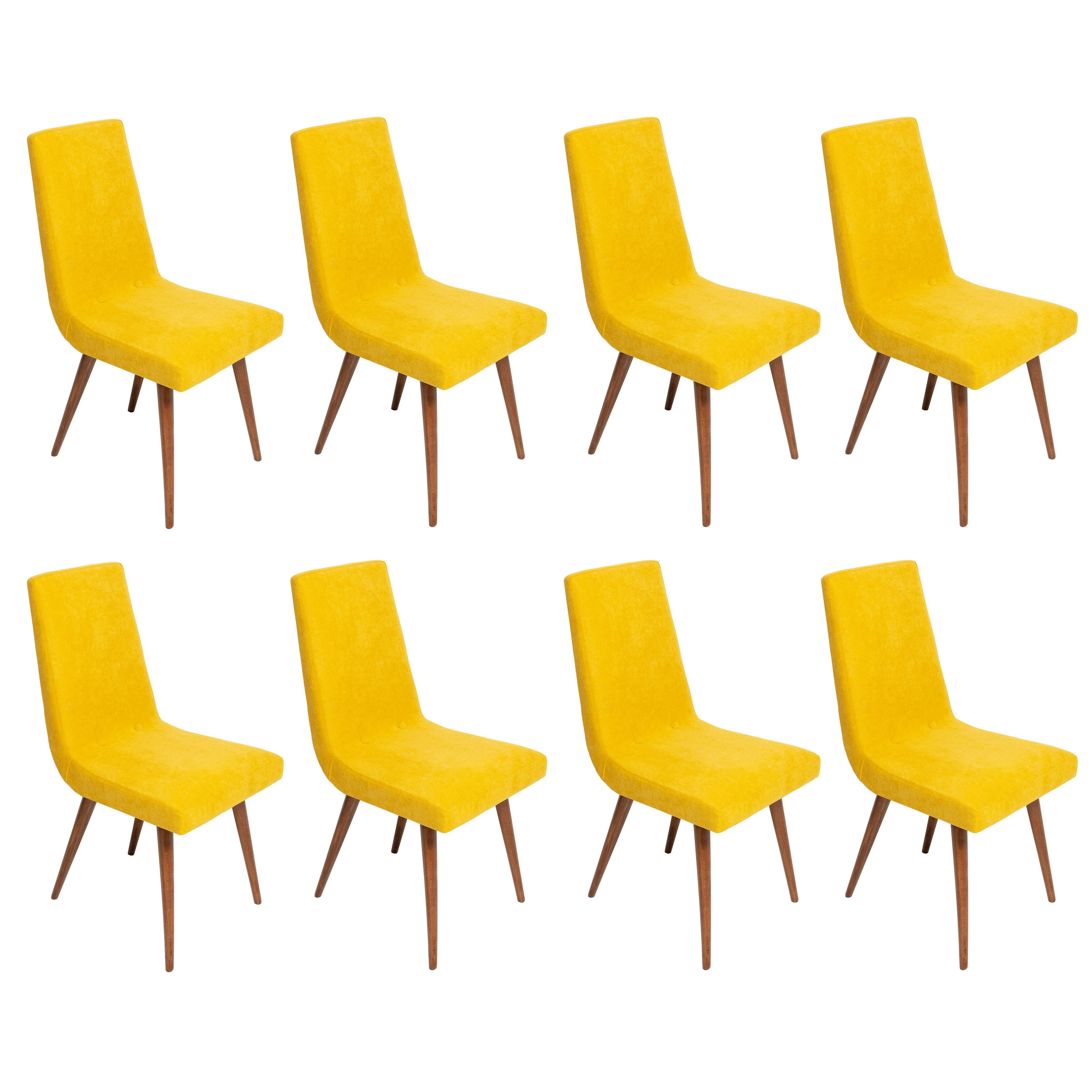 Chair designed by Prof. Rajmund Halas. Have been made of beechwood. The chair is after complete upholstery renovation, the woodwork has been cleaned and refreshed. We used matte varnish. Seat and back was dressed in a mustard yellow, durable and