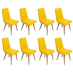 Set of Eight 20th Century Mustard Yellow Wool Chair, Rajmund Halas Europe, 1960s