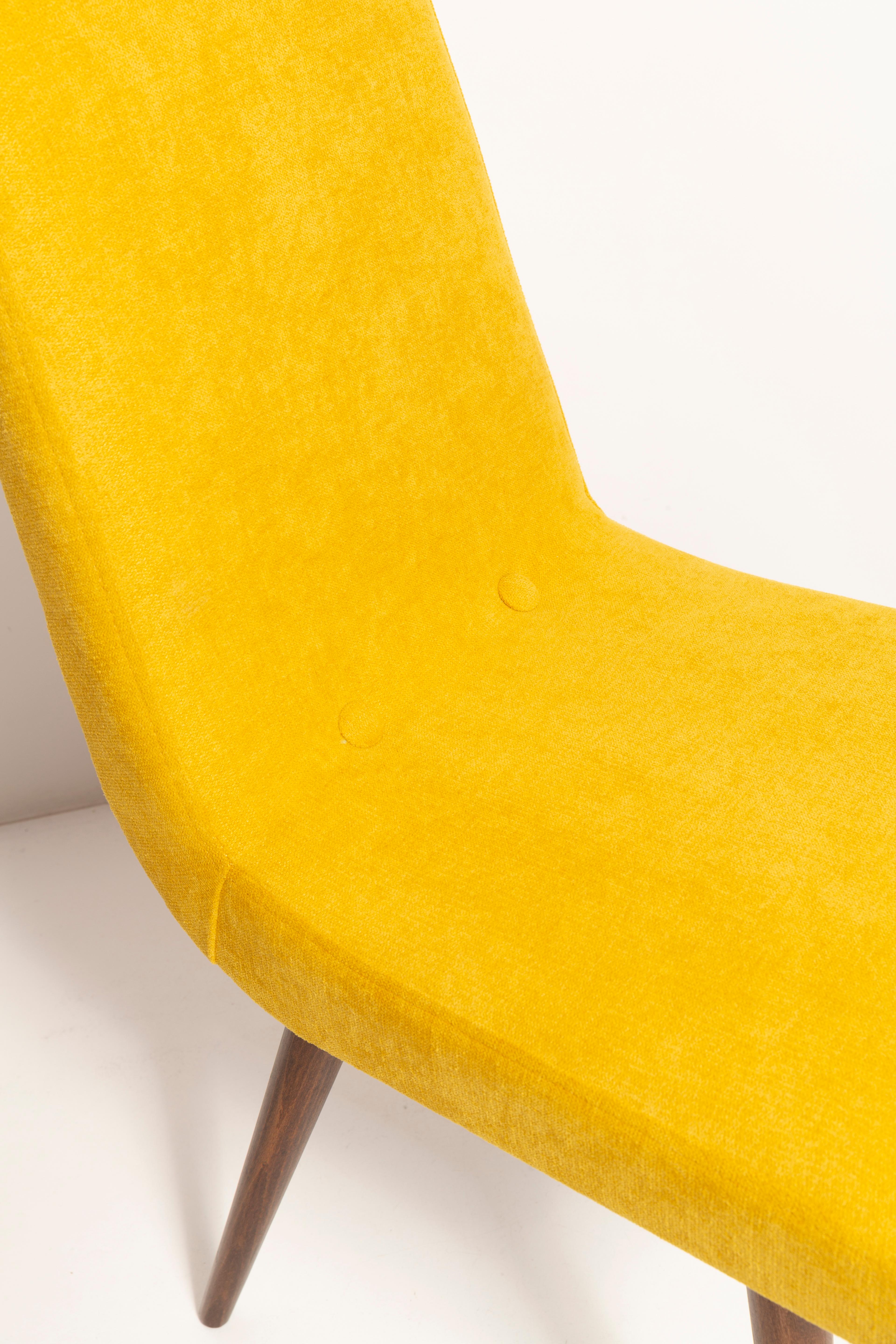 Mid-Century Modern Set of Eight 20th Century Mustard Yellow Wool Chair, Rajmund Halas Europe, 1960s For Sale