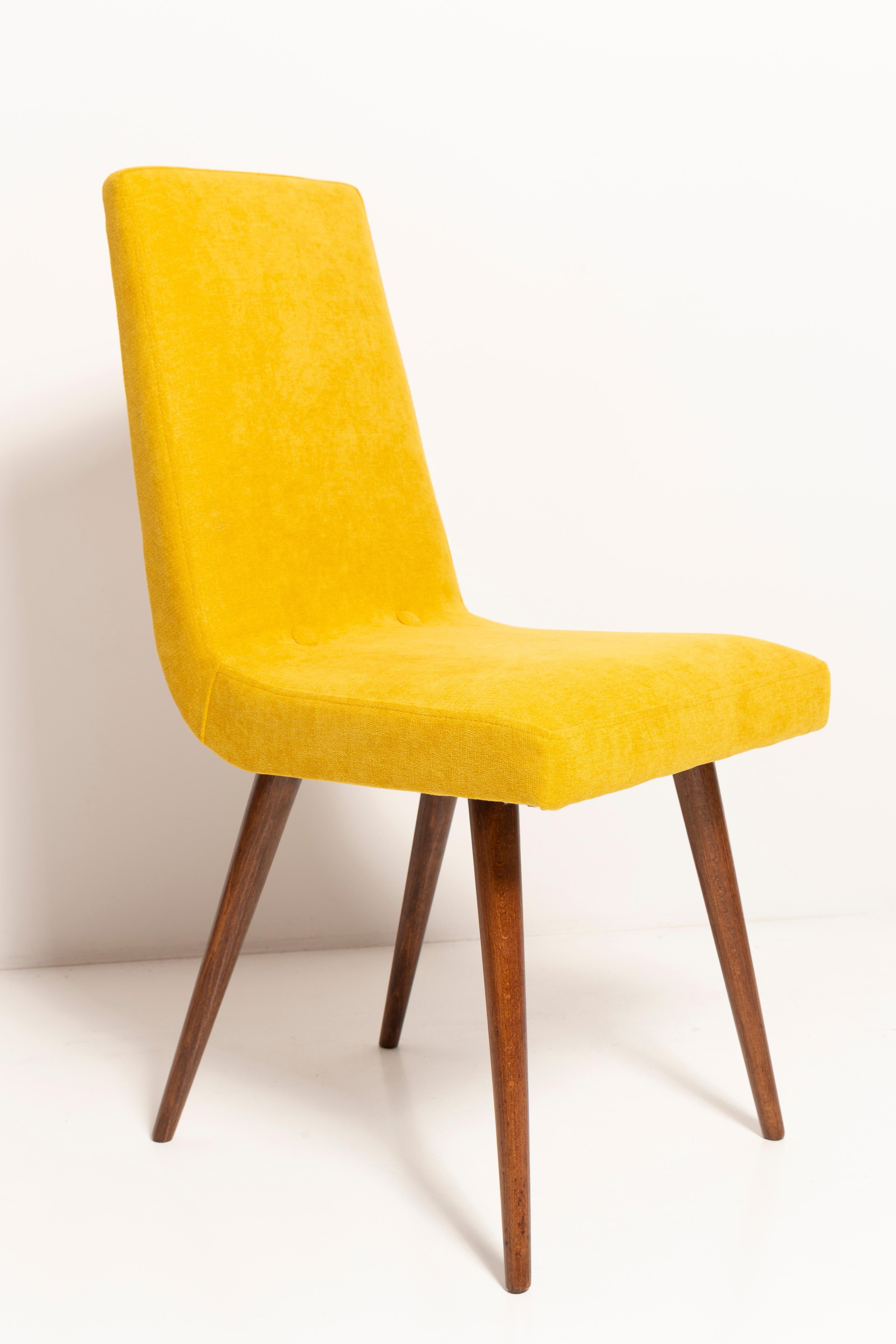 Polish Set of Eight 20th Century Mustard Yellow Wool Chair, Rajmund Halas Europe, 1960s For Sale